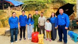 Tết ấm áp tình