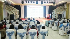 Quỹ Hỗ trợ phụ nữ phát triển tỉnh Lào Cai mở rộng địa bàn cho vay vốn năm 2026