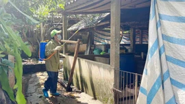 Các biện pháp phòng chống lây nhiễm virus Nipah trên đàn vật nuôi