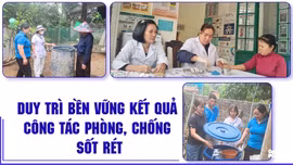 Duy trì bền vững kết quả công tác phòng, chống sốt rét