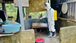 Tăng cường phòng, chống dịch sốt xuất huyết