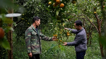 Những đảng viên trẻ tiên phong mở lối thoát nghèo