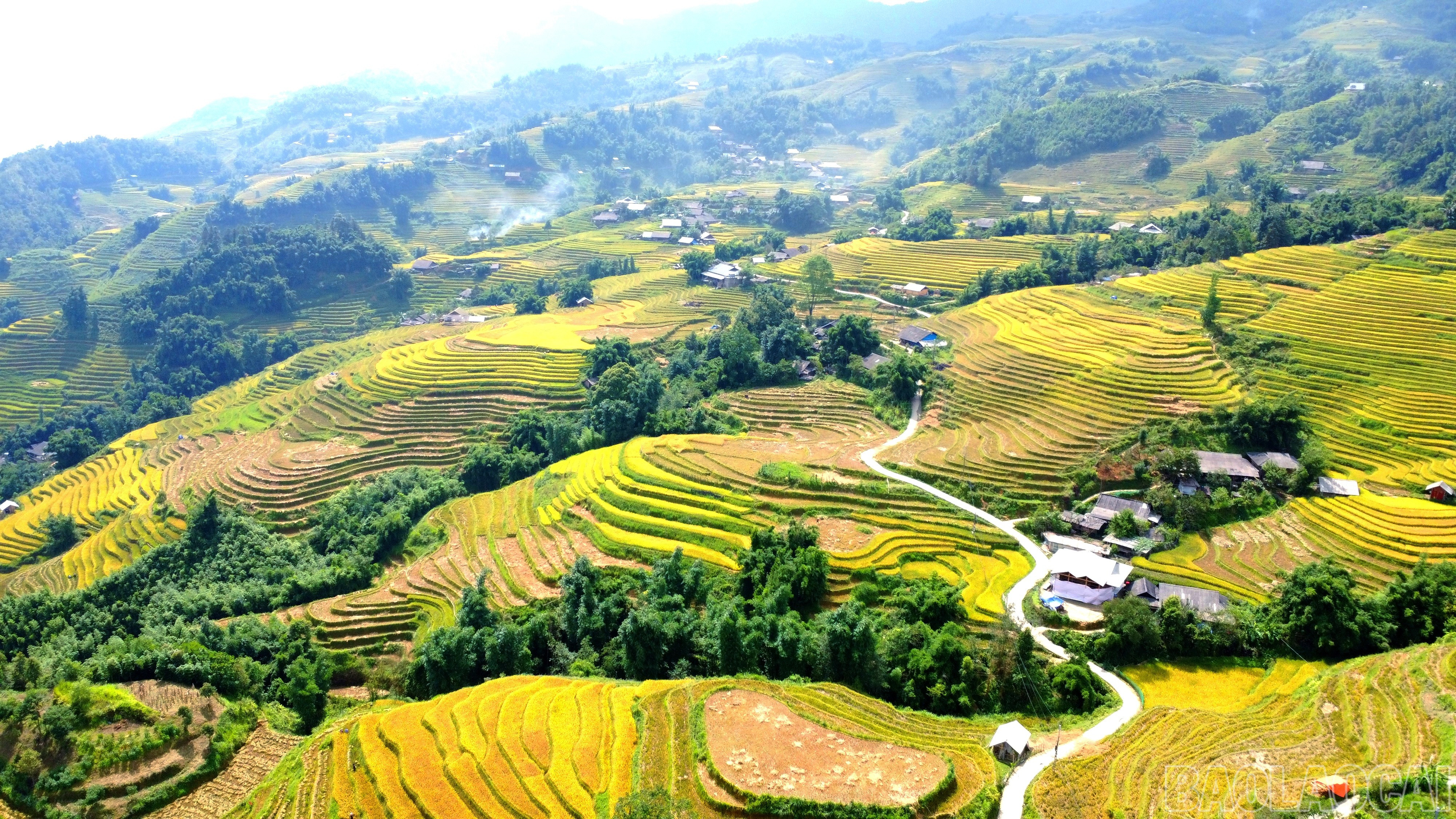 Nếu lấy phường Sa Pa (tỉnh Lào Cai) là điểm xuất phát, đi từ Sa Pa xuống xã Tả Van (tỉnh Lào Cai) nhìn bên phải có một bản làng nhỏ nằm xen lẫn những thửa ruộng bậc thang vàng rực rỡ đó chính là Ý Lình Hồ. Nếu lấy phường Sa Pa (tỉnh Lào Cai) là điểm xuất phát, đi từ Sa Pa xuống xã Tả Van (tỉnh Lào Cai) nhìn bên phải có một bản làng nhỏ nằm xen lẫn những thửa ruộng bậc thang vàng rực rỡ đó chính là Ý Lình Hồ.