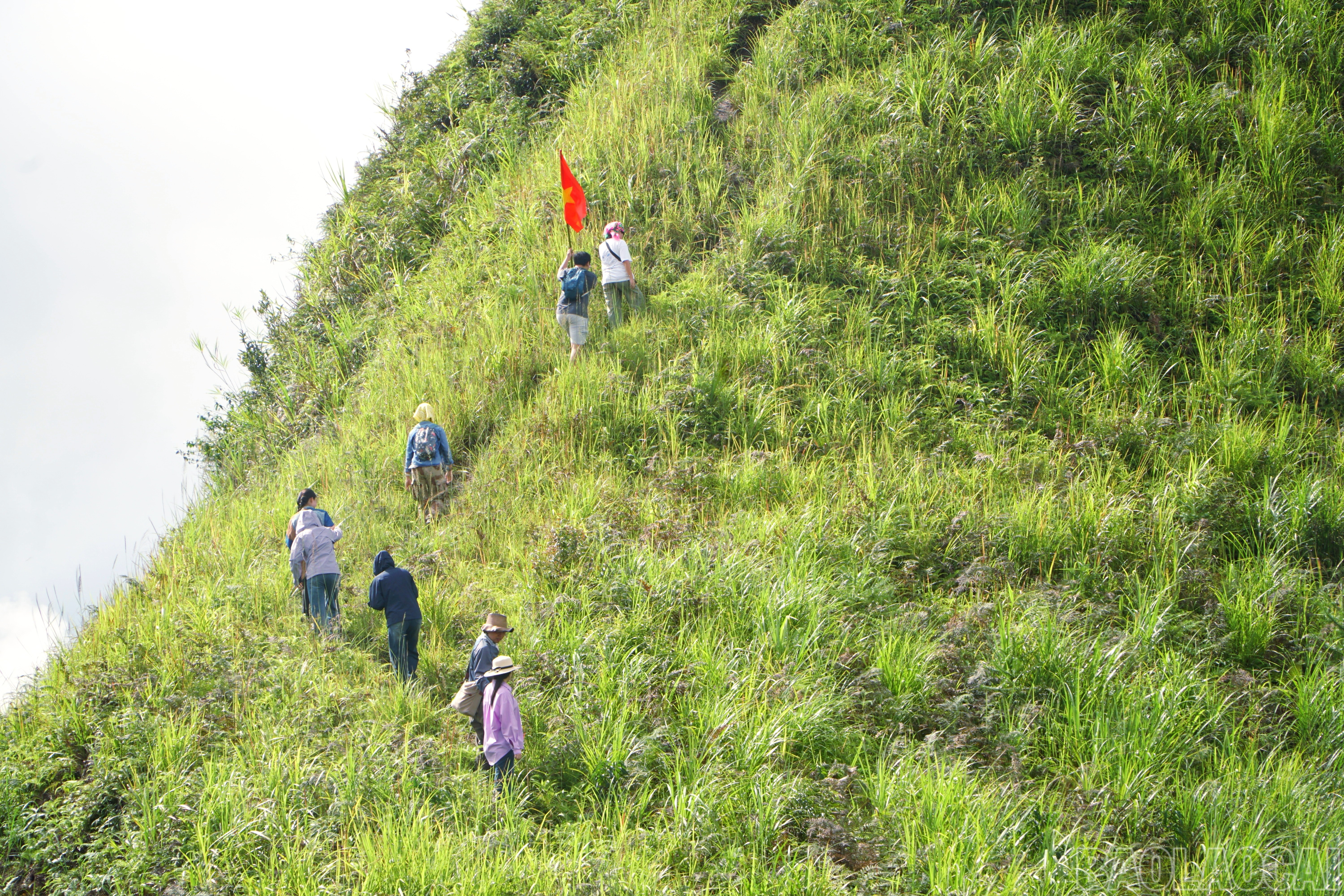 baolaocai-br_img-20250902-161229.jpg
