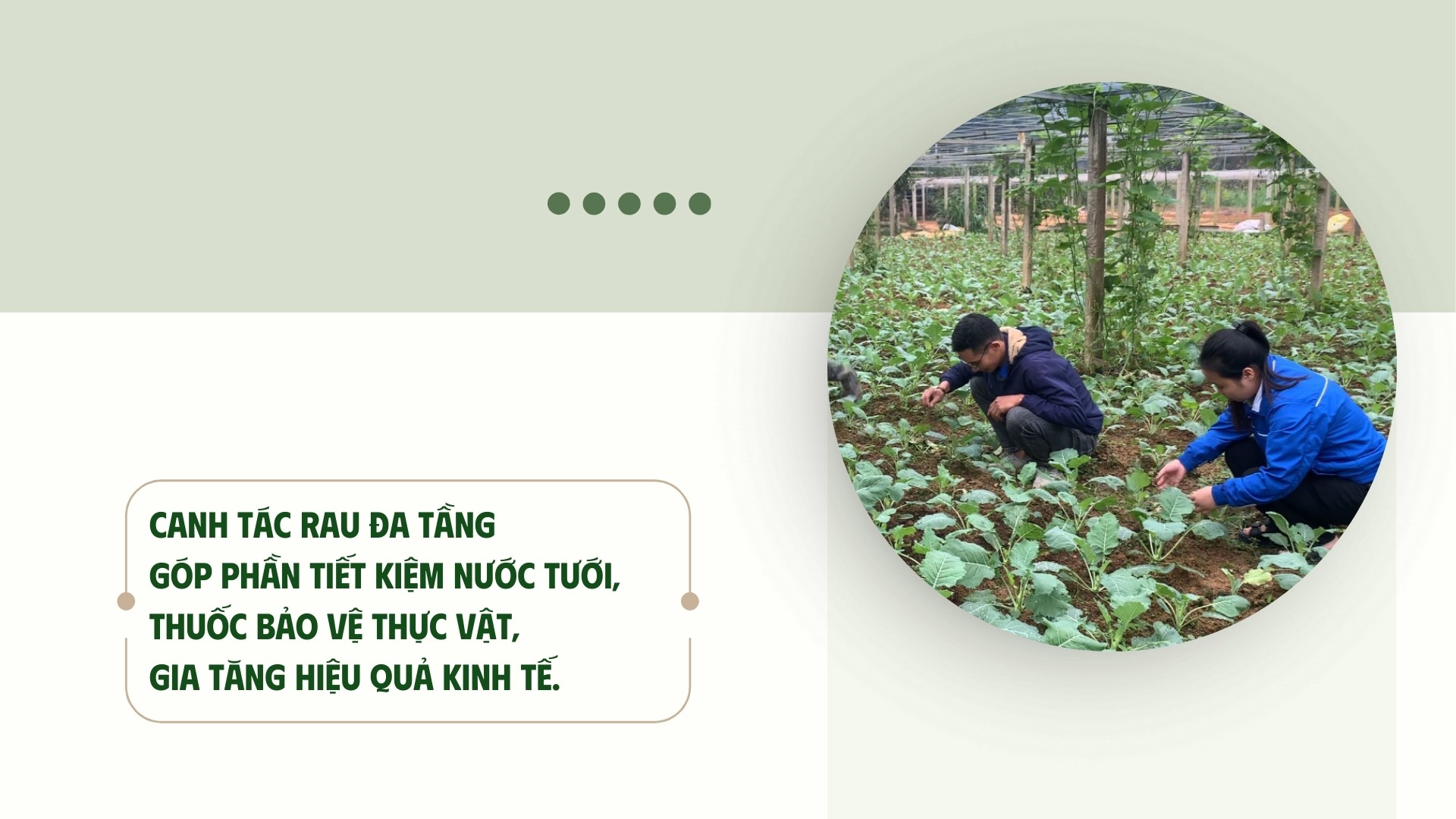 phang-taozip-5.jpg