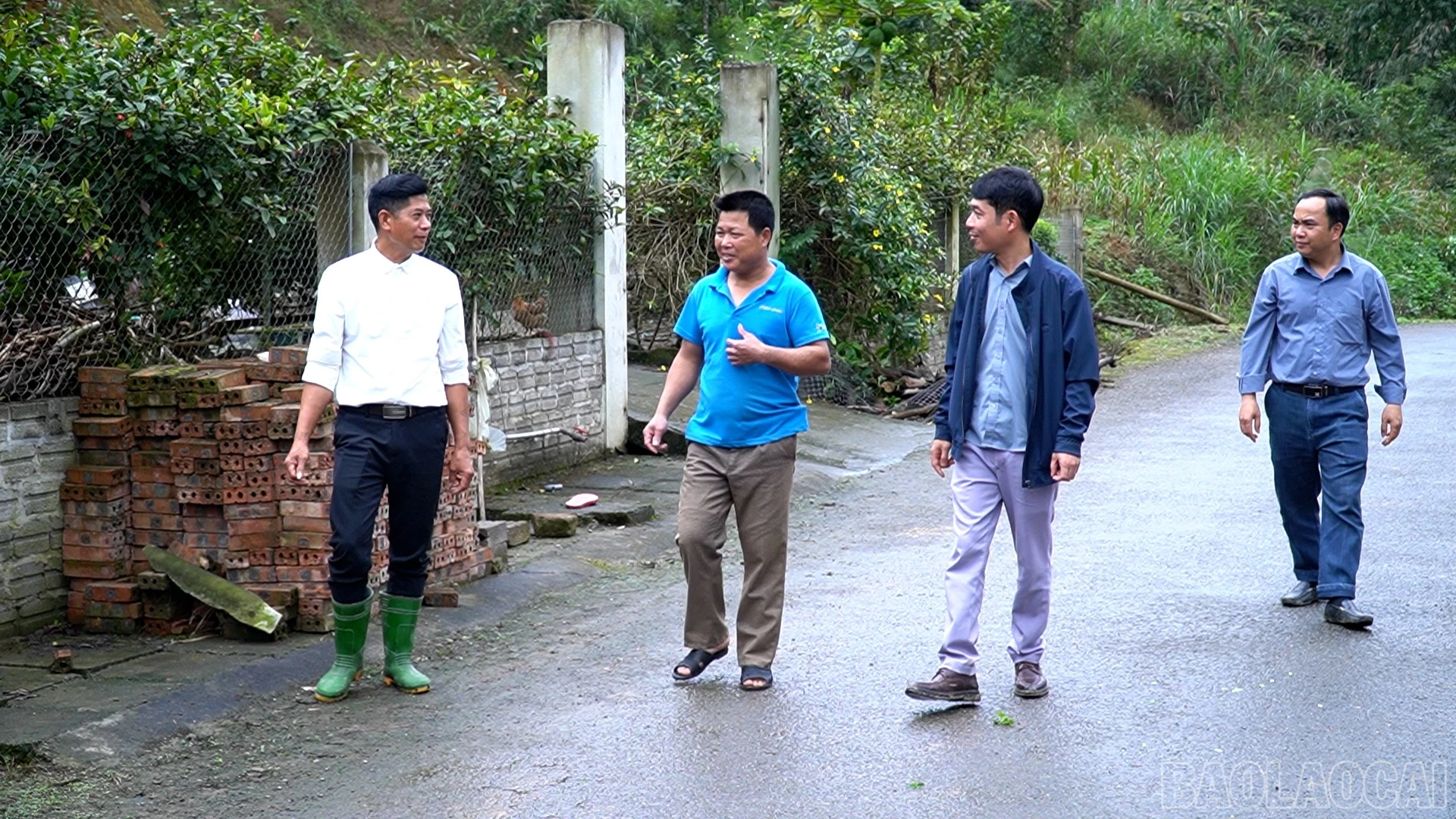 baolaocai-br_anh-5.jpg