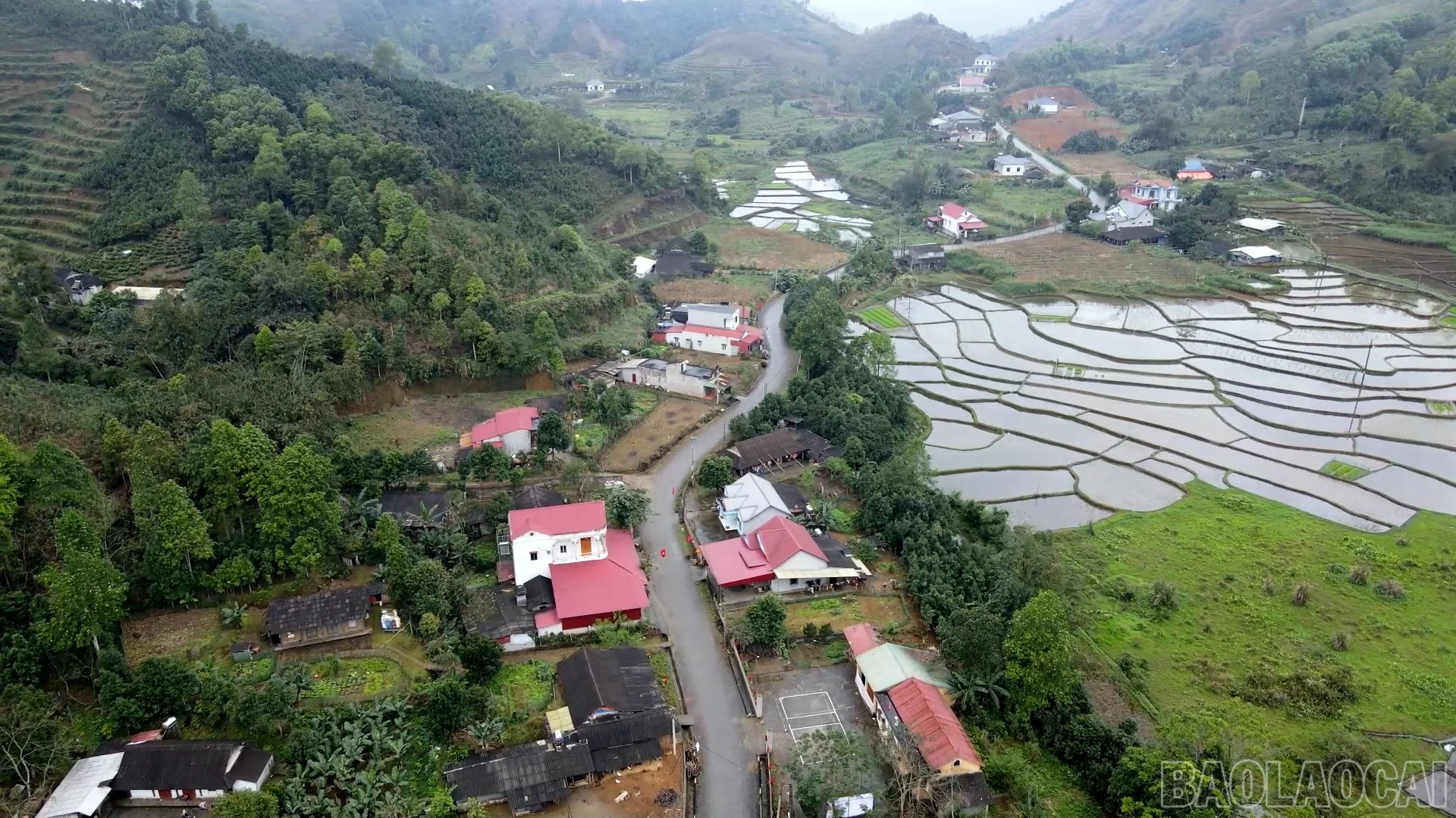 baolaocai-br_anh-3.jpg
