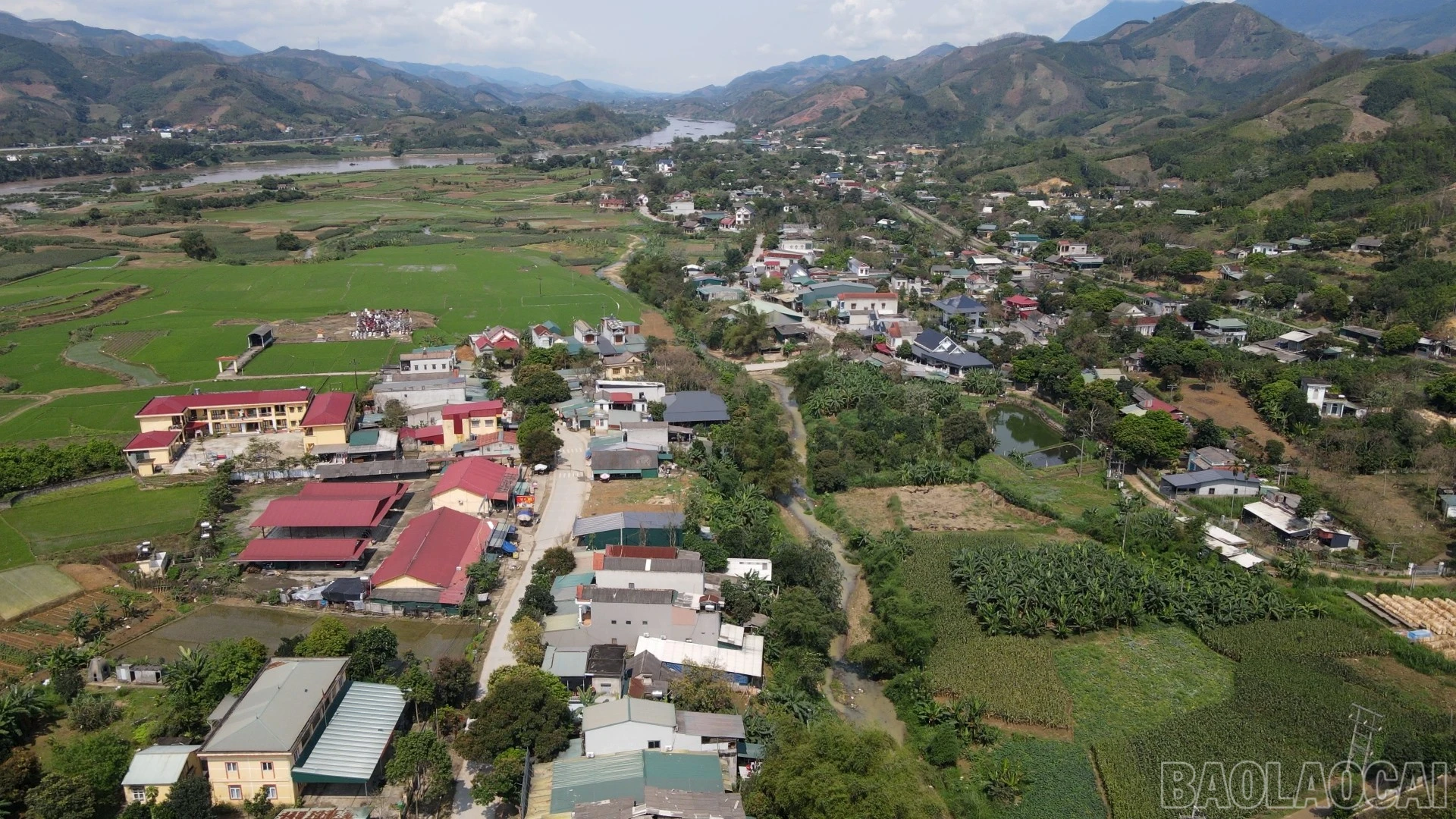 baolaocai-br_anh-6.jpg