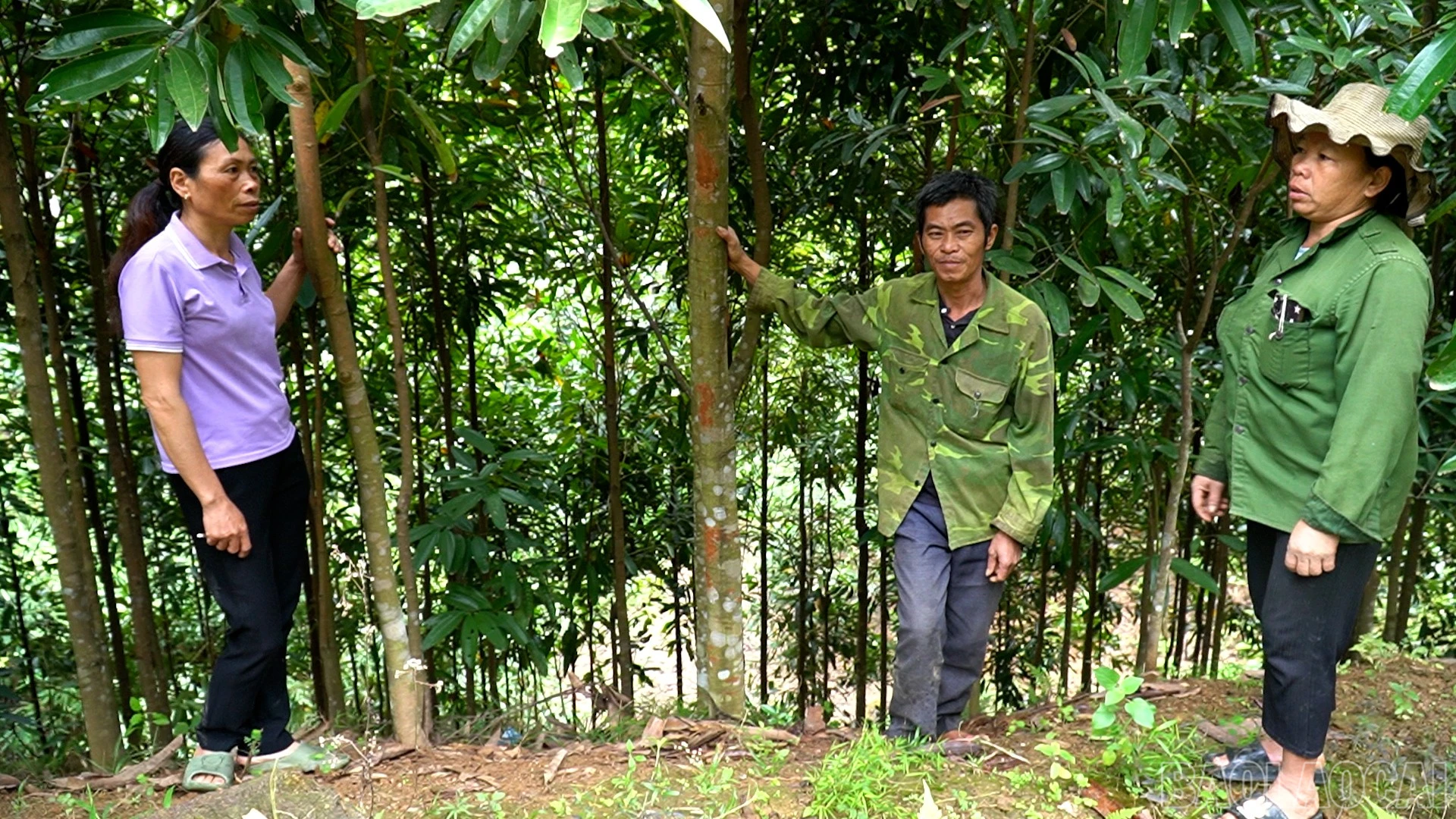 baolaocai-br_anh-2.jpg