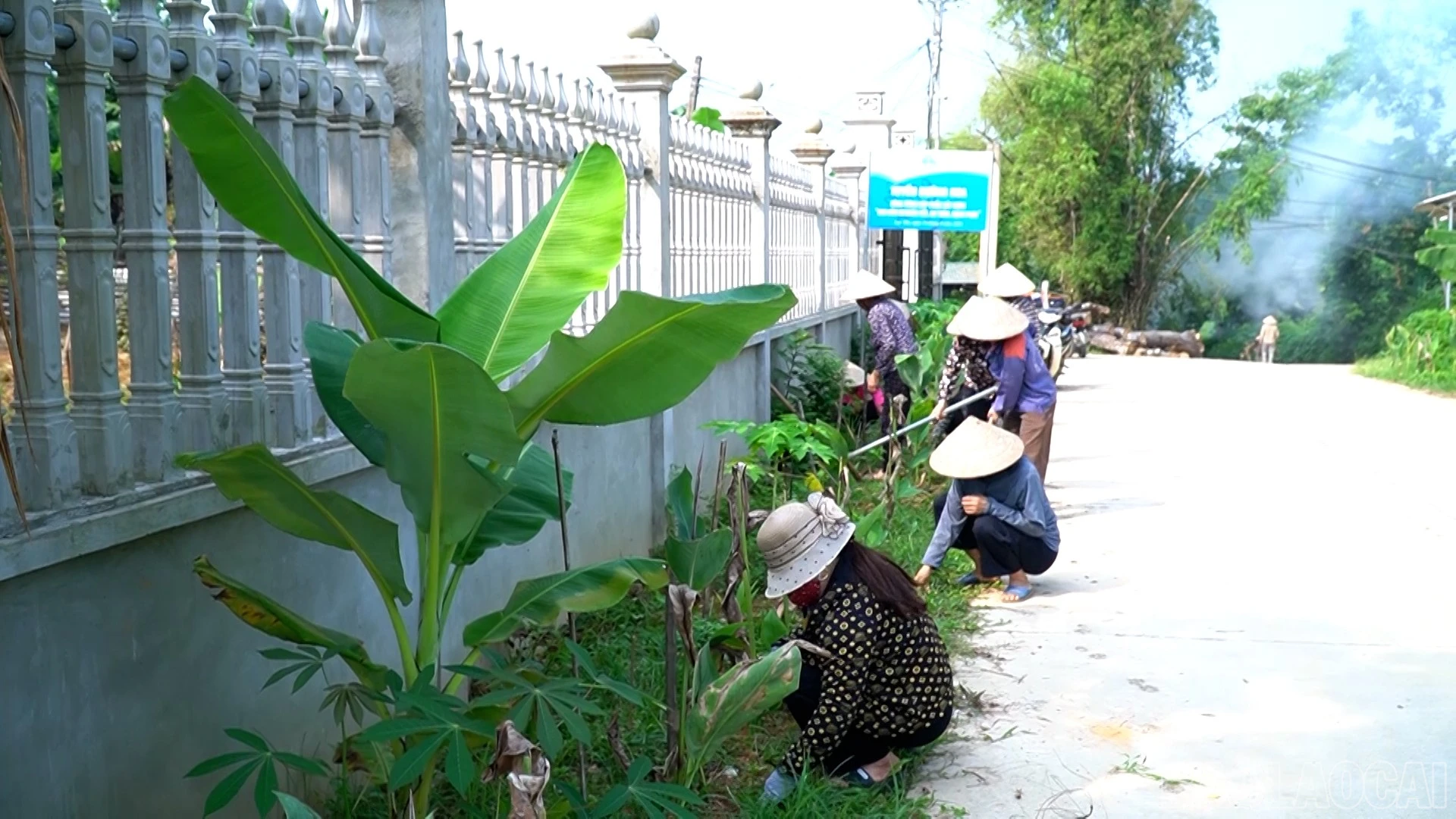 baolaocai-br_anh-9.jpg