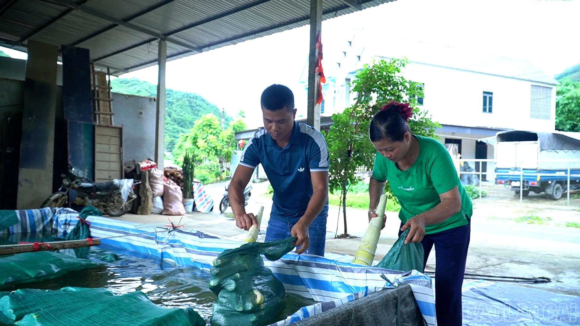 baolaocai-br_anh-1.jpg