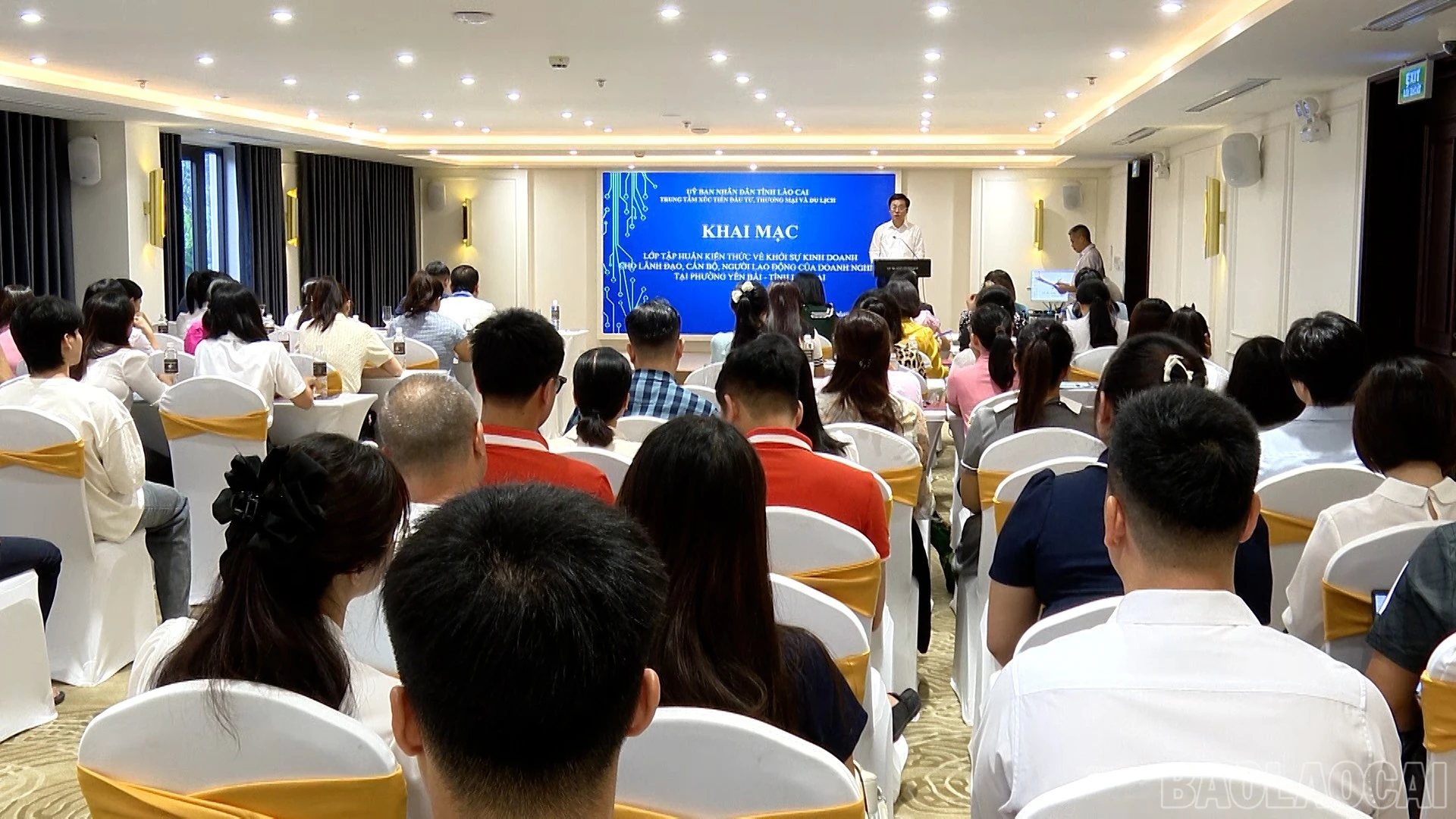 baolaocai-br_anh-11.jpg