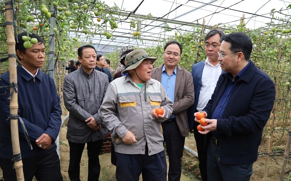 Tái cơ cấu nông nghiệp gắn với phát triển kinh tế nông thôn – Bài 2: Xanh hóa nông nghiệp - Tất yếu để phát triển bền vững ảnh 1 Tái cơ cấu nông nghiệp gắn với phát triển kinh tế nông thôn – Bài 2: Xanh hóa nông nghiệp - Tất yếu để phát triển bền vững ảnh 1