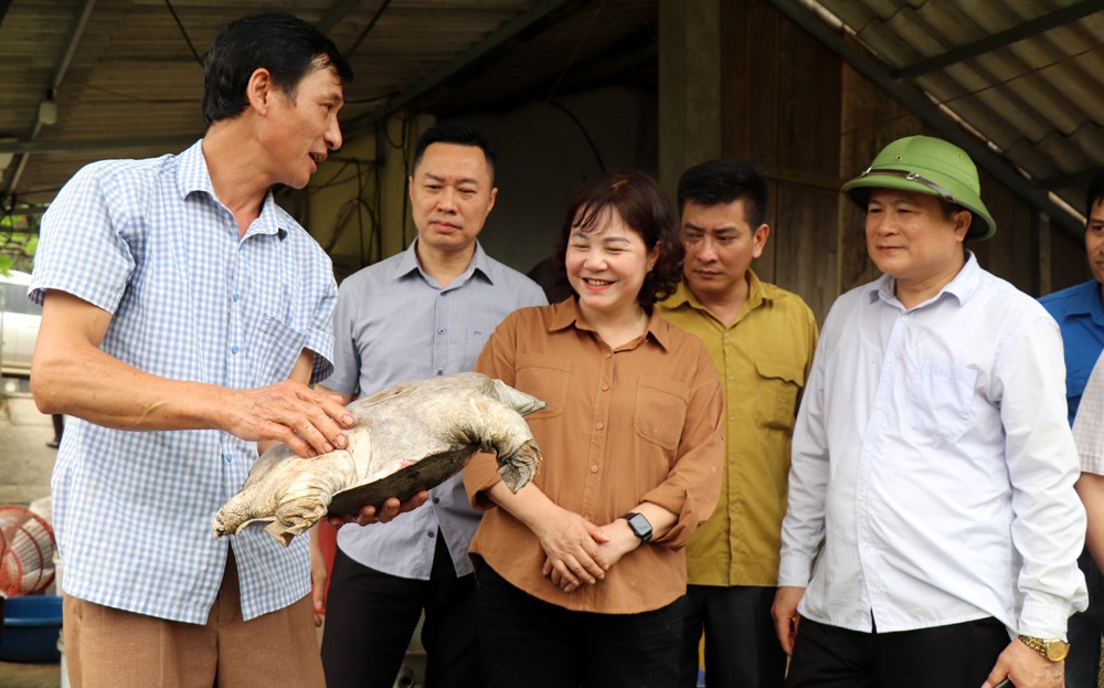 Phó Chủ tịch HĐND tỉnh Hoàng Thị Thanh Bình tham gia lao động “Ngày cuối tuần cùng dân” tại xã Cát Thịnh, huyện Văn Chấn ảnh 3 Phó Chủ tịch HĐND tỉnh Hoàng Thị Thanh Bình tham gia lao động “Ngày cuối tuần cùng dân” tại xã Cát Thịnh, huyện Văn Chấn ảnh 3