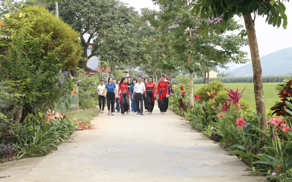 Tái cơ cấu nông nghiệp gắn với phát triển kinh tế nông thôn - Bài cuối: Phát triển kinh tế nông thôn và xây dựng nông thôn mới bền vững ảnh 1