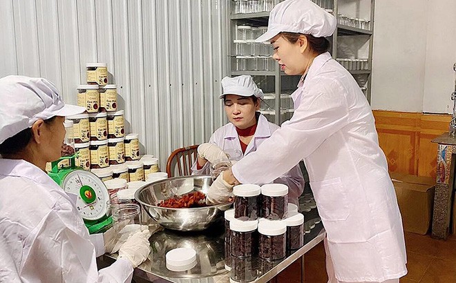 Người đưa quả táo mèo… ''''xuống núi'''' ảnh 1 Người đưa quả táo mèo… ''''xuống núi'''' ảnh 1