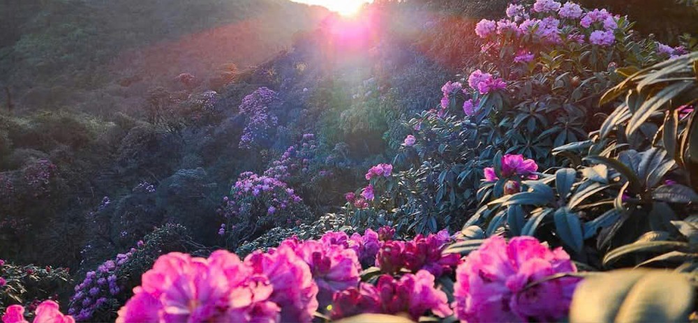 Tà Xùa “ Thiên đường nơi hạ giới” ảnh 3