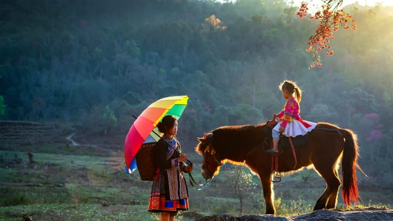 [Ảnh] Ngựa trong những bức ảnh mùa xuân