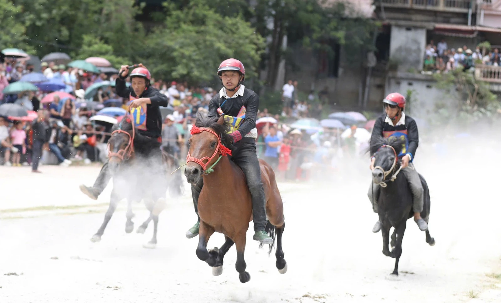 baolaocai-br_chungket-9-2074.jpg