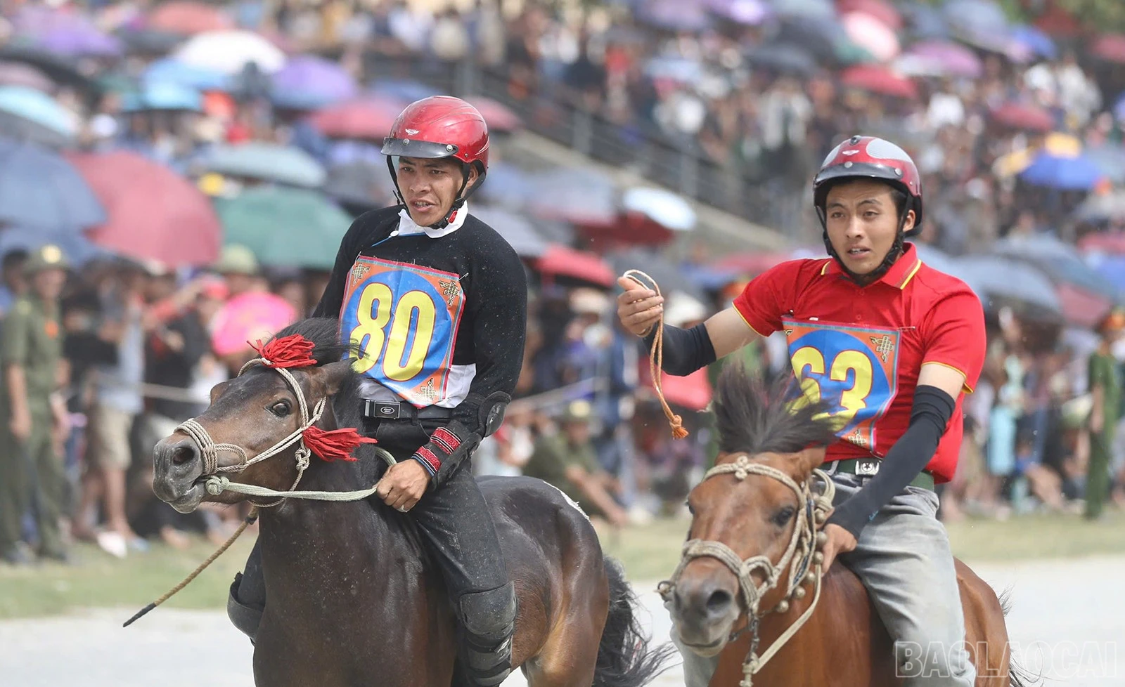 baolaocai-br_chungket-16.jpg