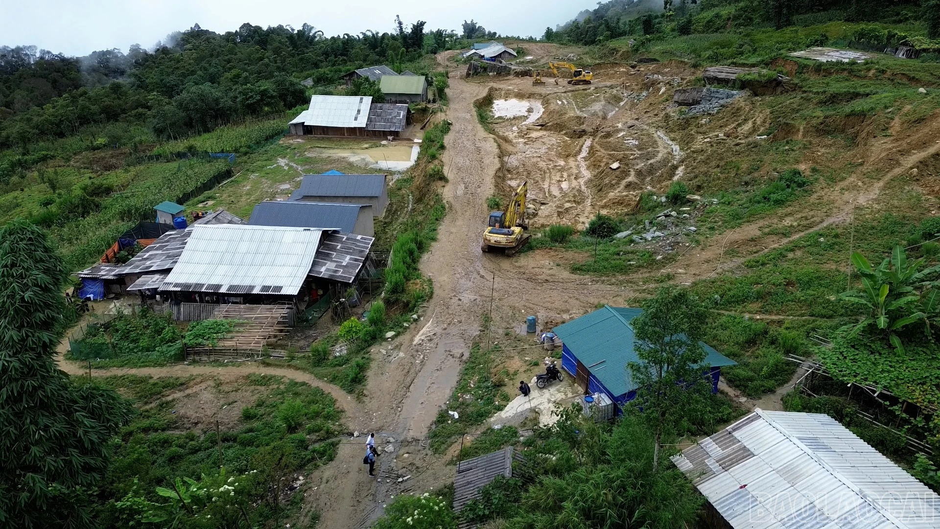 baolaocai-br_pacheo-1.jpg