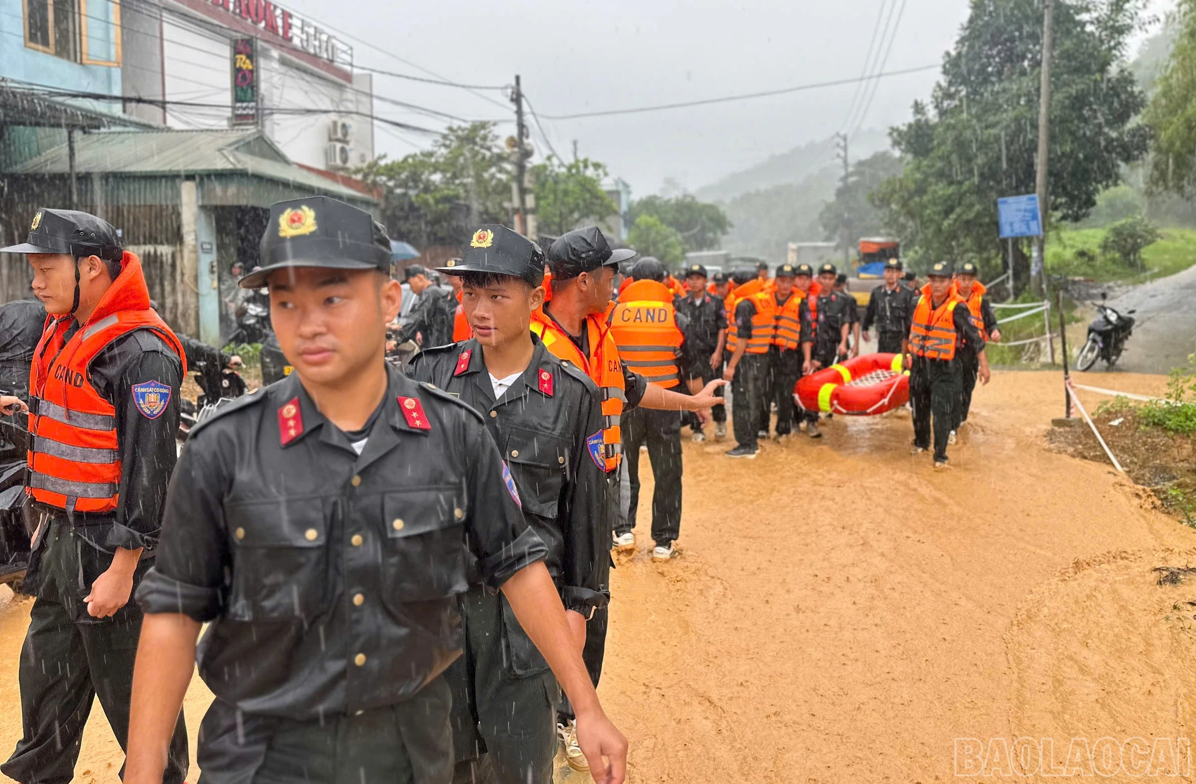 baolaocai-br_mliu-4.jpg