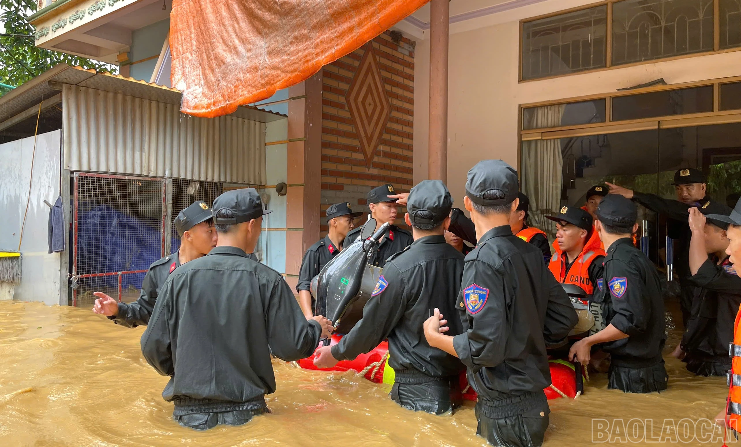 baolaocai-br_mliu-7.jpg
