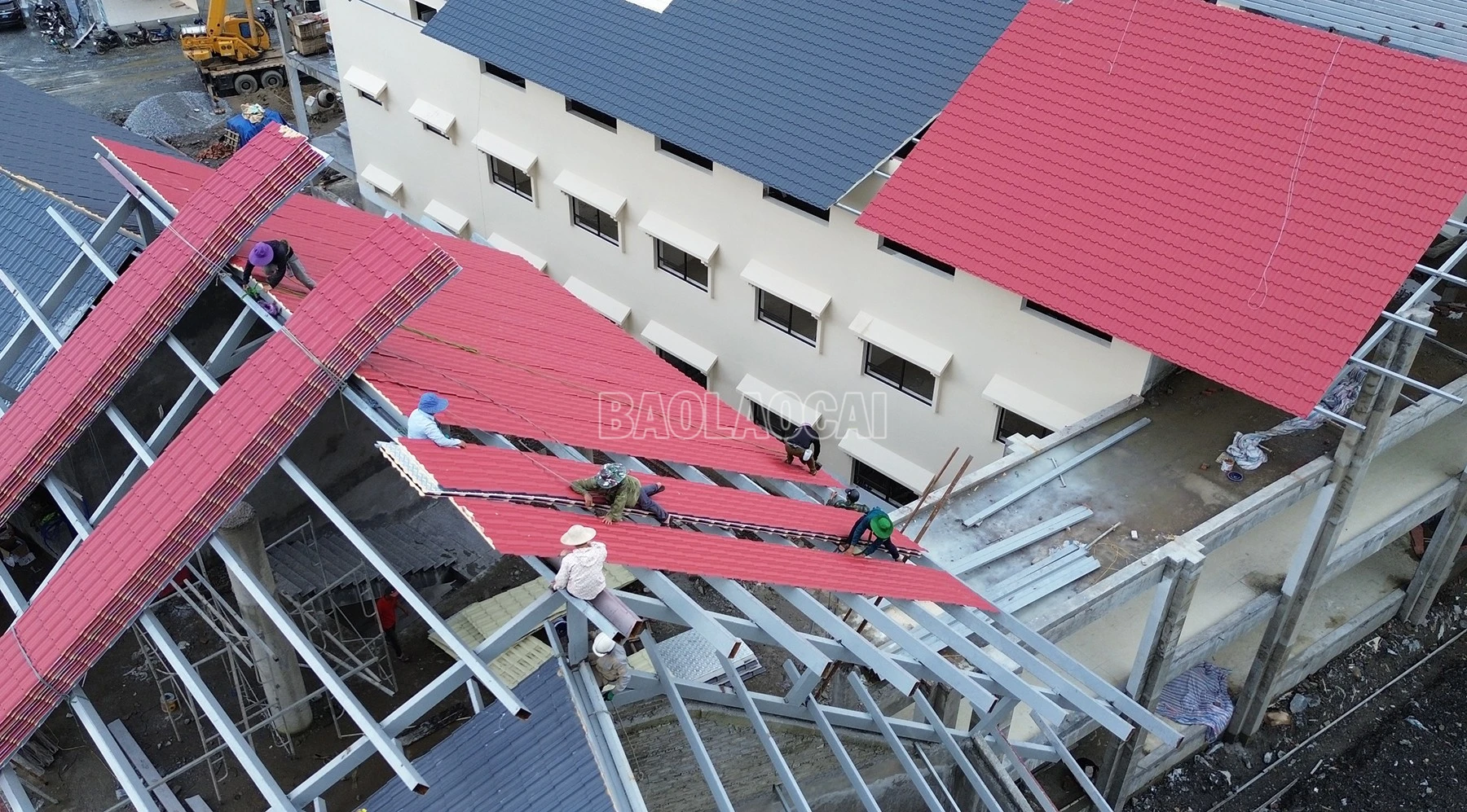 baolaocai-c_dji-0637.jpg