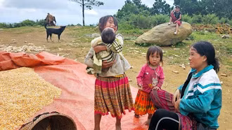 Chính sách ưu đãi đối với doanh nghiệp sử dụng nhiều lao động nữ