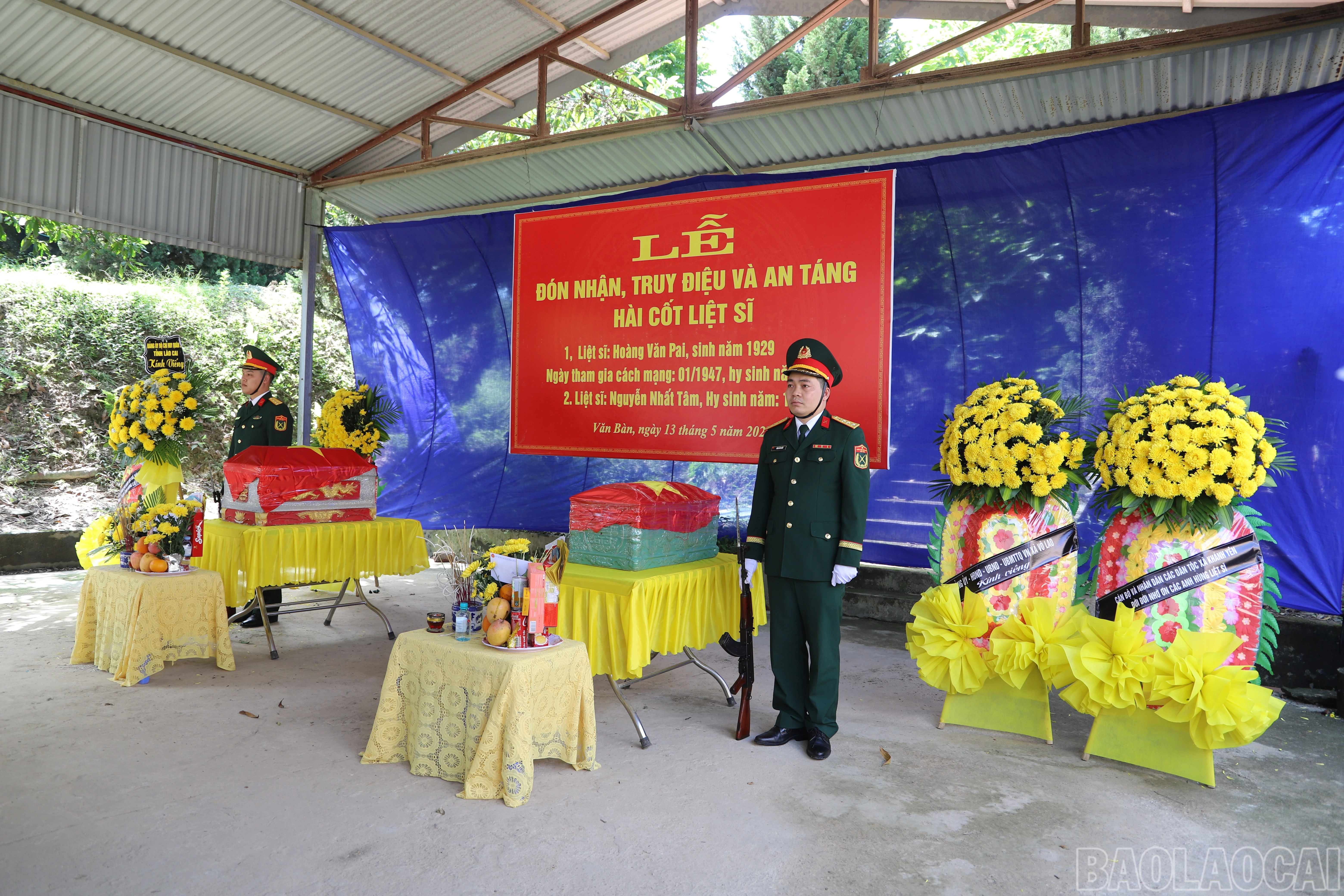baolaocai-br_img-0125.jpg
