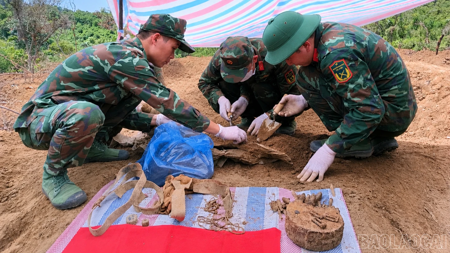 baolaocai-br_chatgpt-image-jun-22-2026-at-10-39-53-am-5390.png
