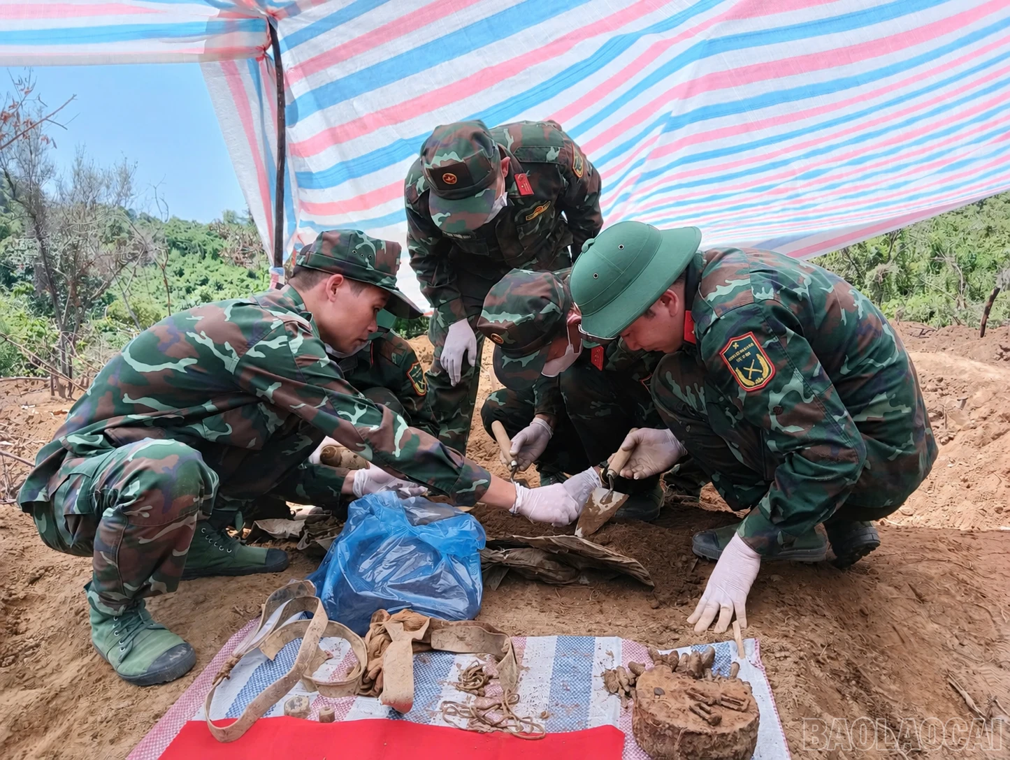 baolaocai-br_chatgpt-image-jun-22-2026-at-10-35-32-am.png