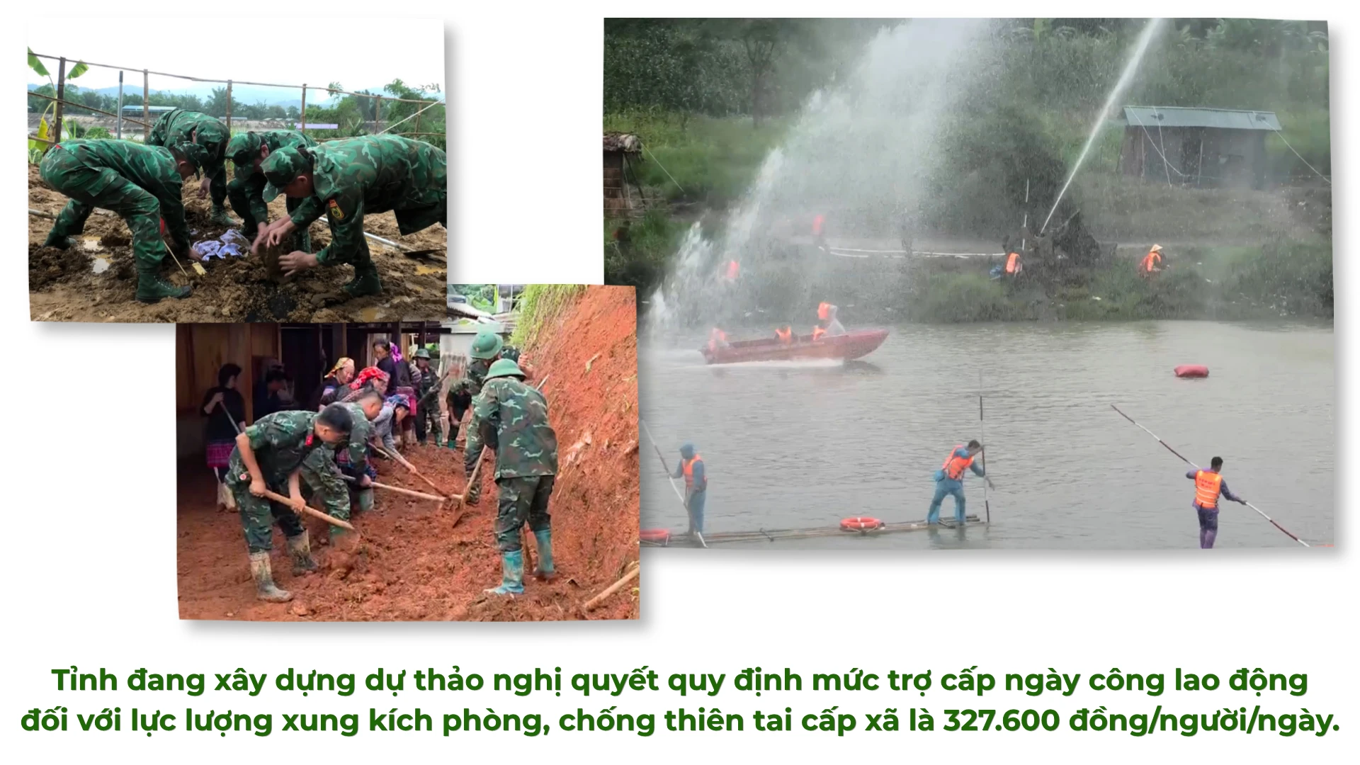 lai-3.png