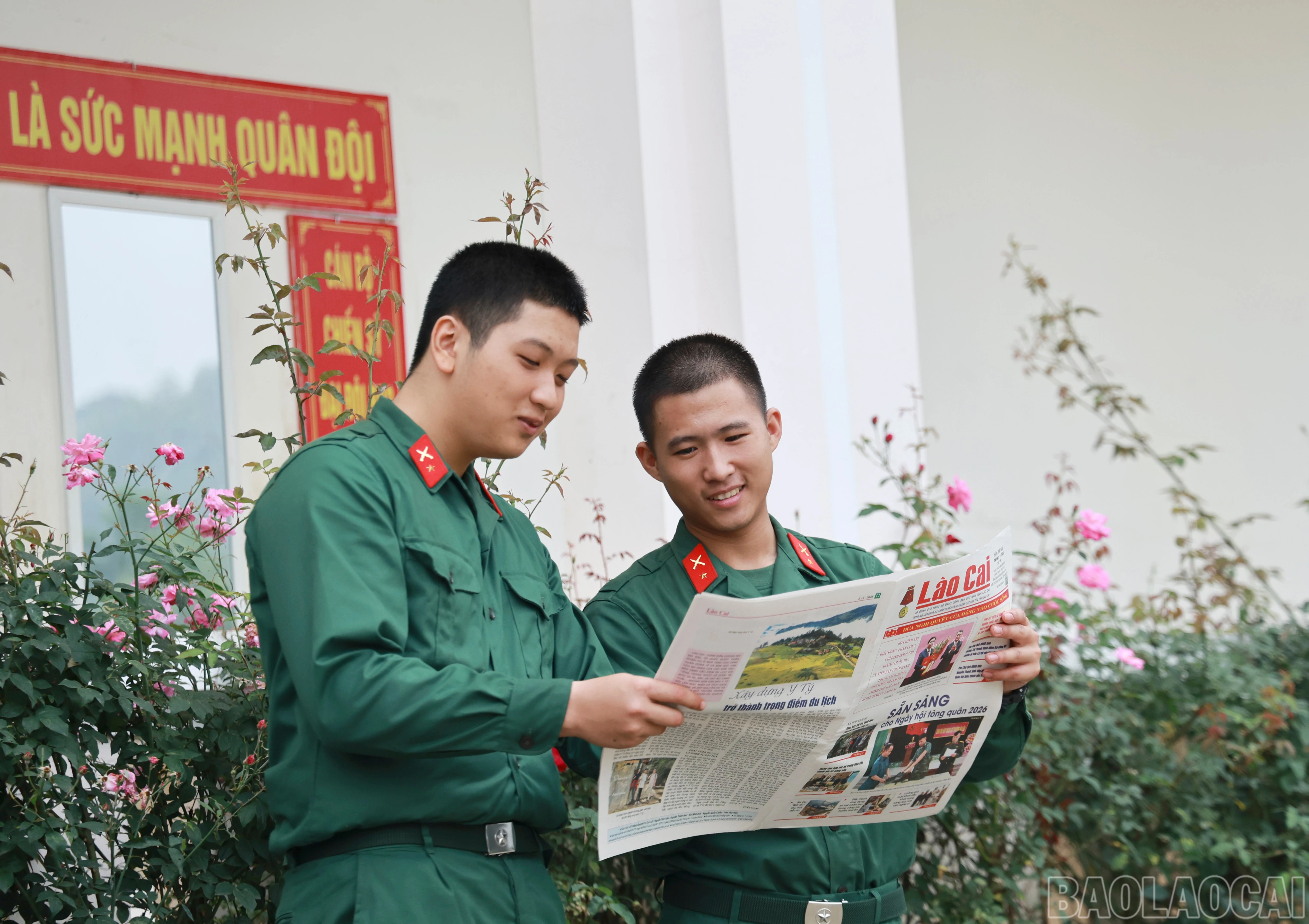 baolaocai-br_060a8423.jpg