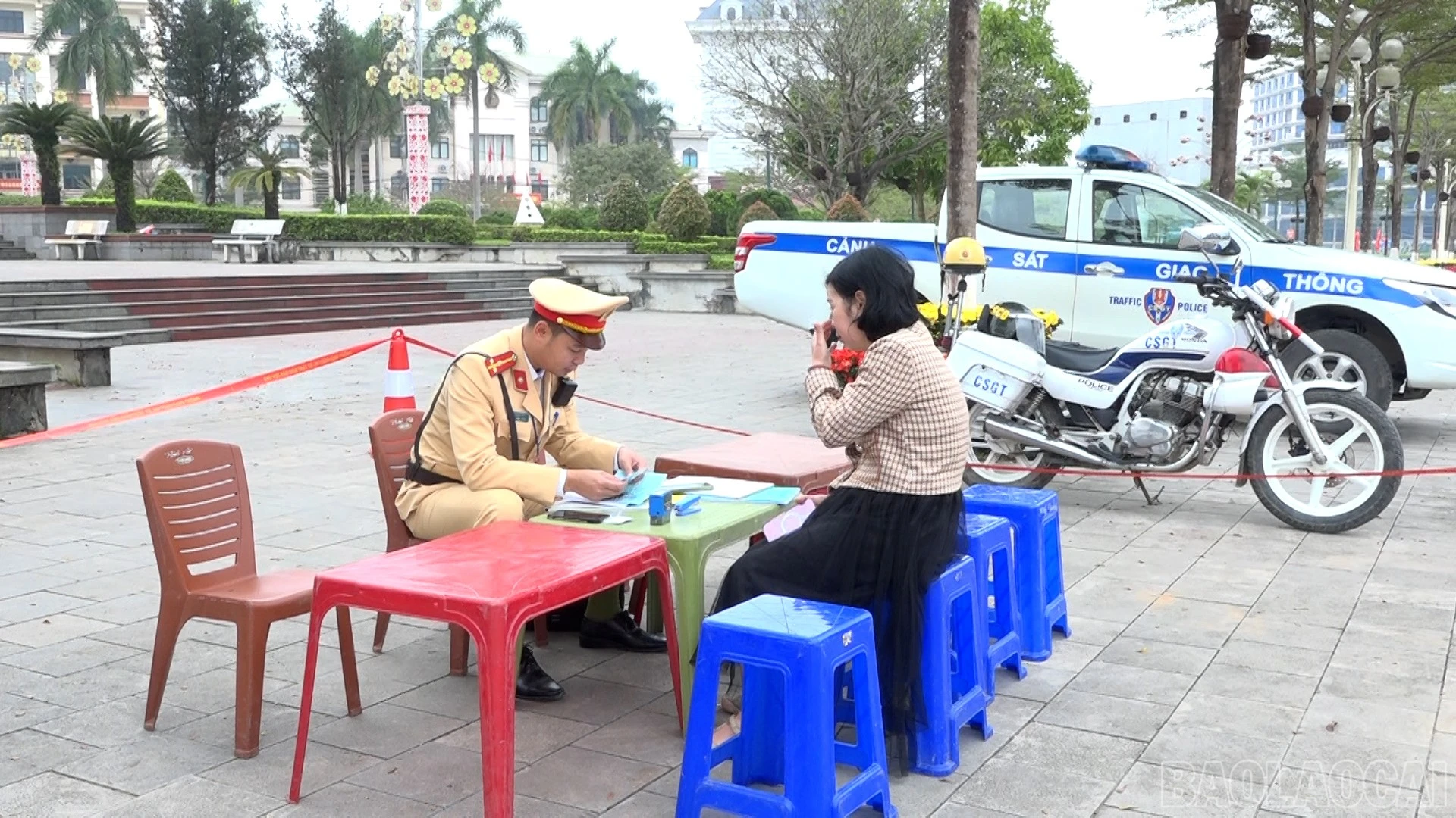 baolaocai-br_5.jpg