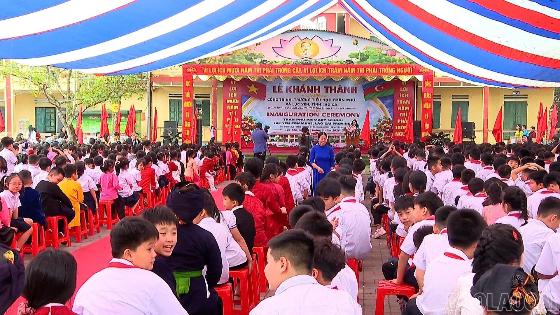 baolaocai-br_d7e1f5959b30156e4c2152.jpg