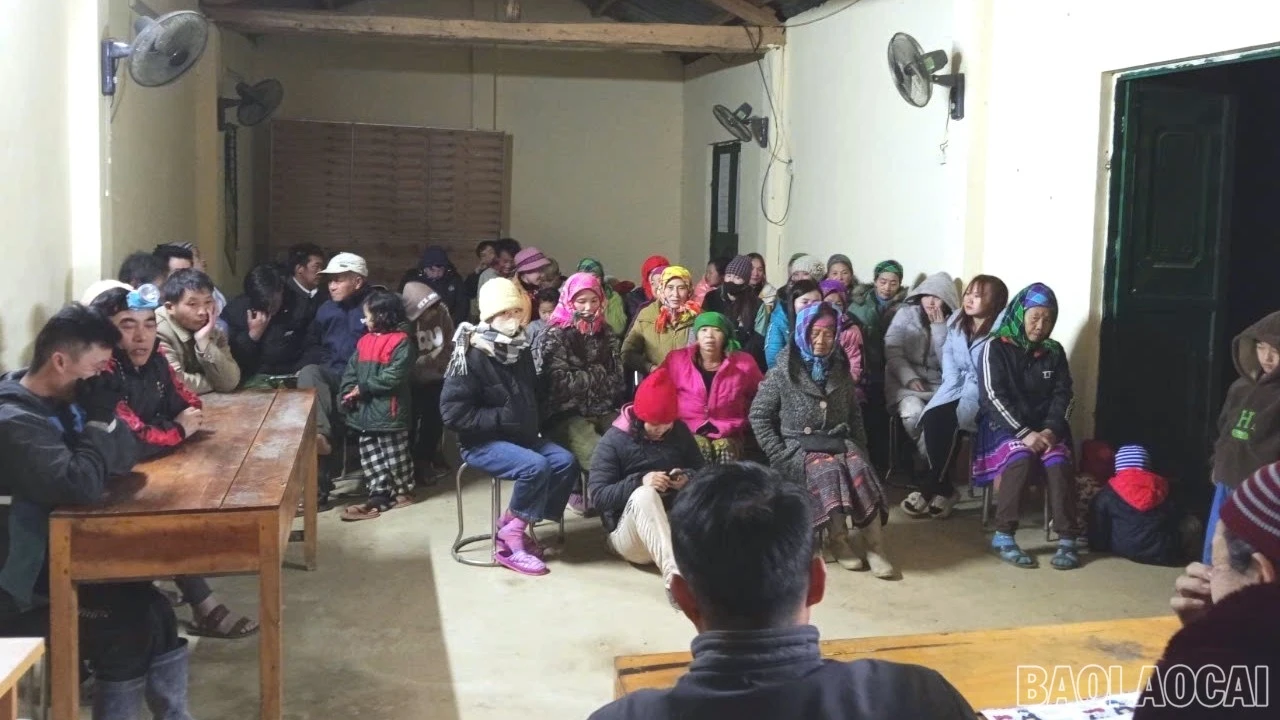baolaocai-br-3752290128961571010-7891.jpg