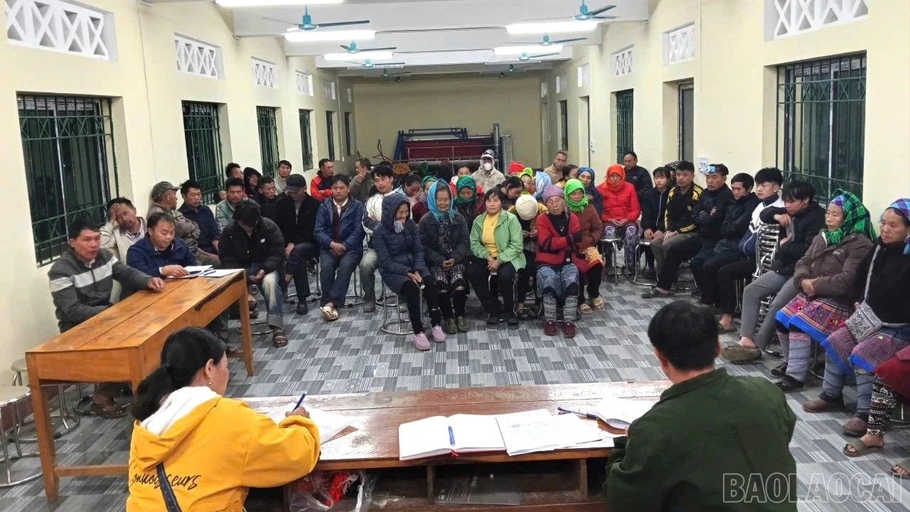 baolaocai-br_3118224761783474952-9828-5622.jpg