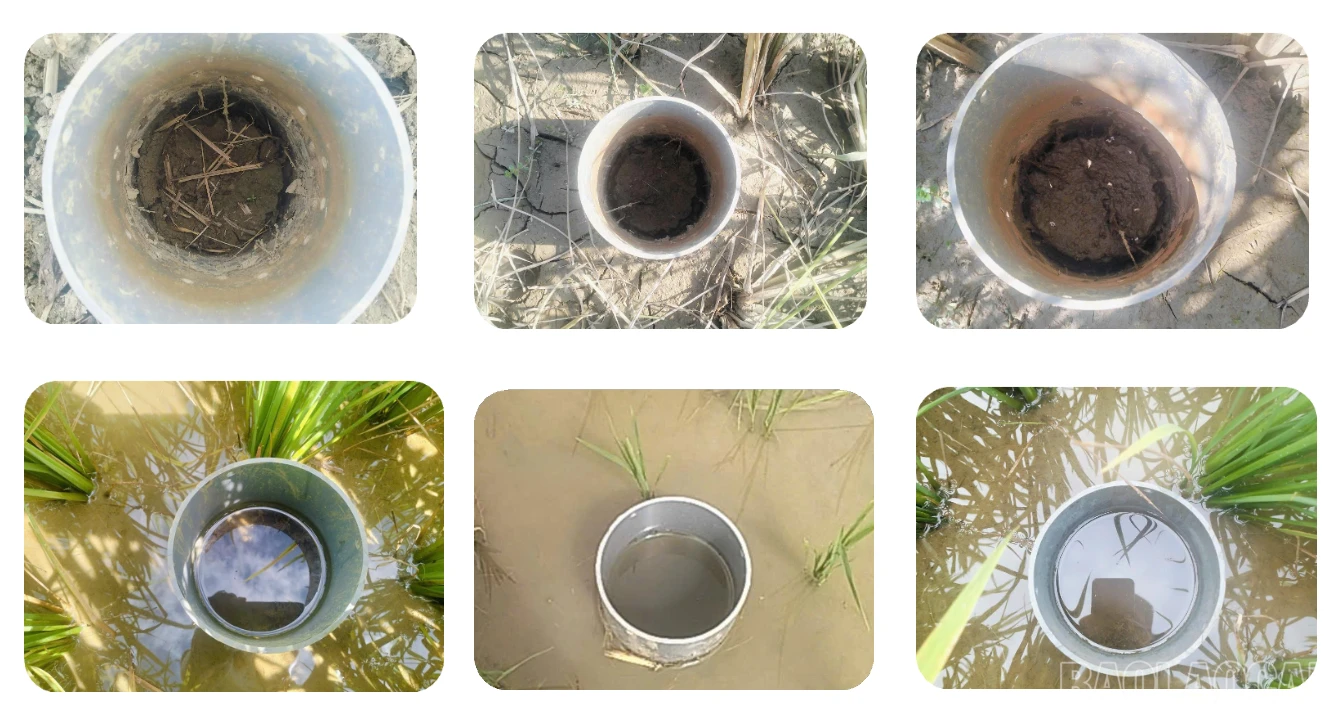 baolaocai-br_screenshot-2026-01-15-at-104656-am.png