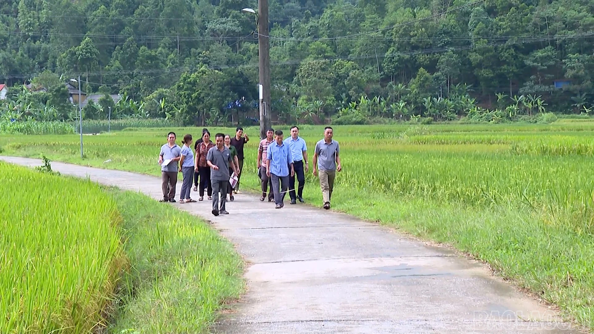 baolaocai-br_lk83868-xa-vung-cao-cat-thinh-som-dua-nghi-quyet-dai-hoi-vao-cuoc-song-hd00-02-13-04still005.jpg