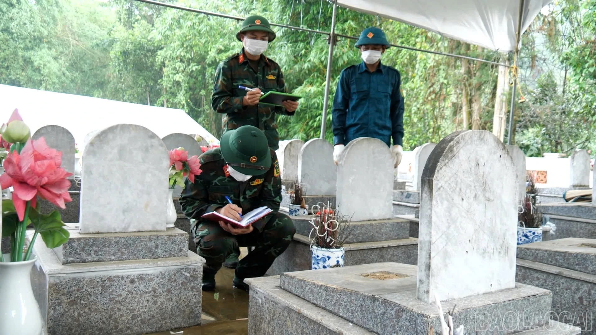 baolaocai-br_2aoboqfjocr56edhkhacqneldn4juk79081vdwwc2.jpg