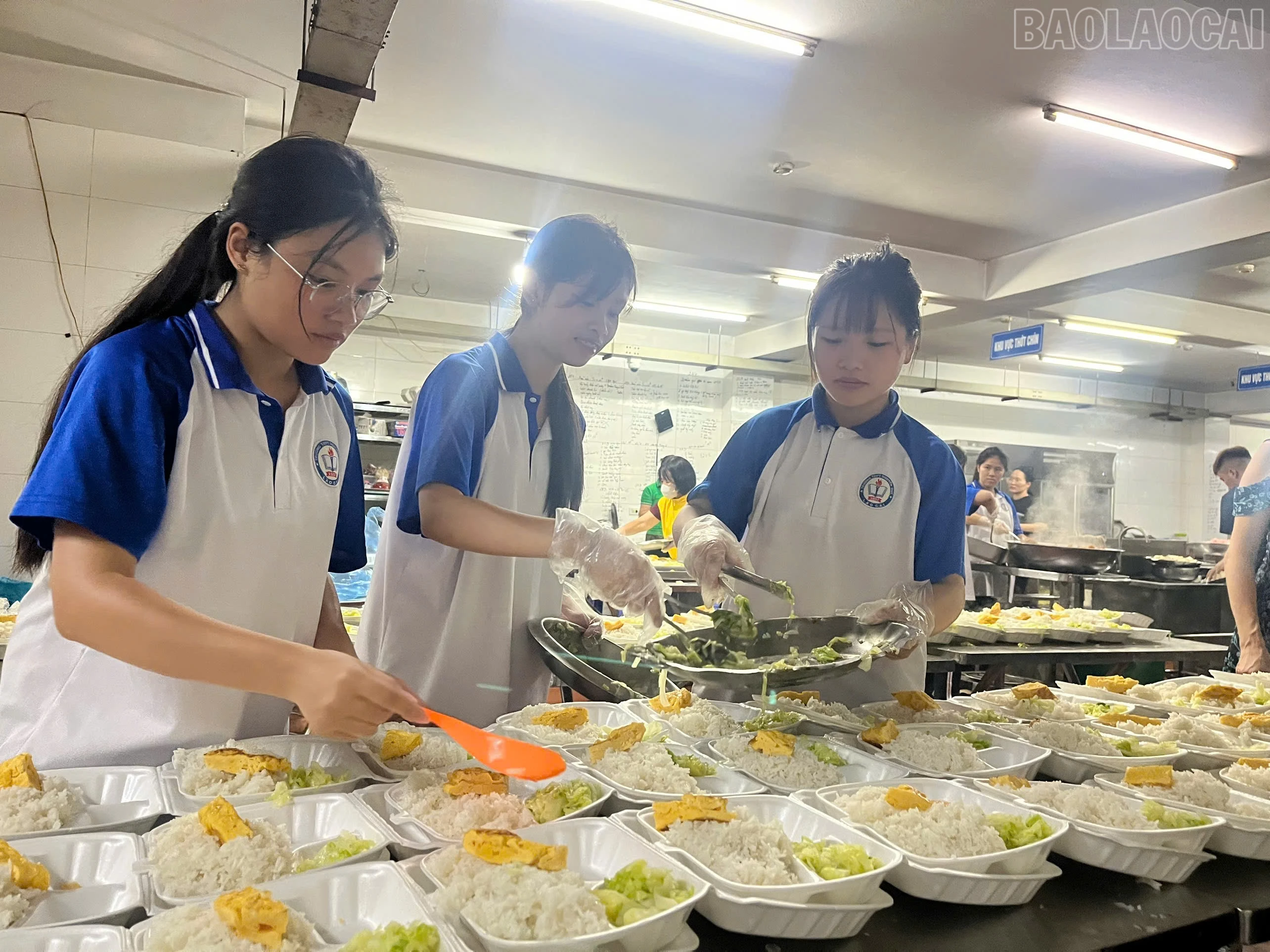 baolaocai-tr_z7070070202303-cdc8ef7ada9fb6441c8cd065f9326902.jpg