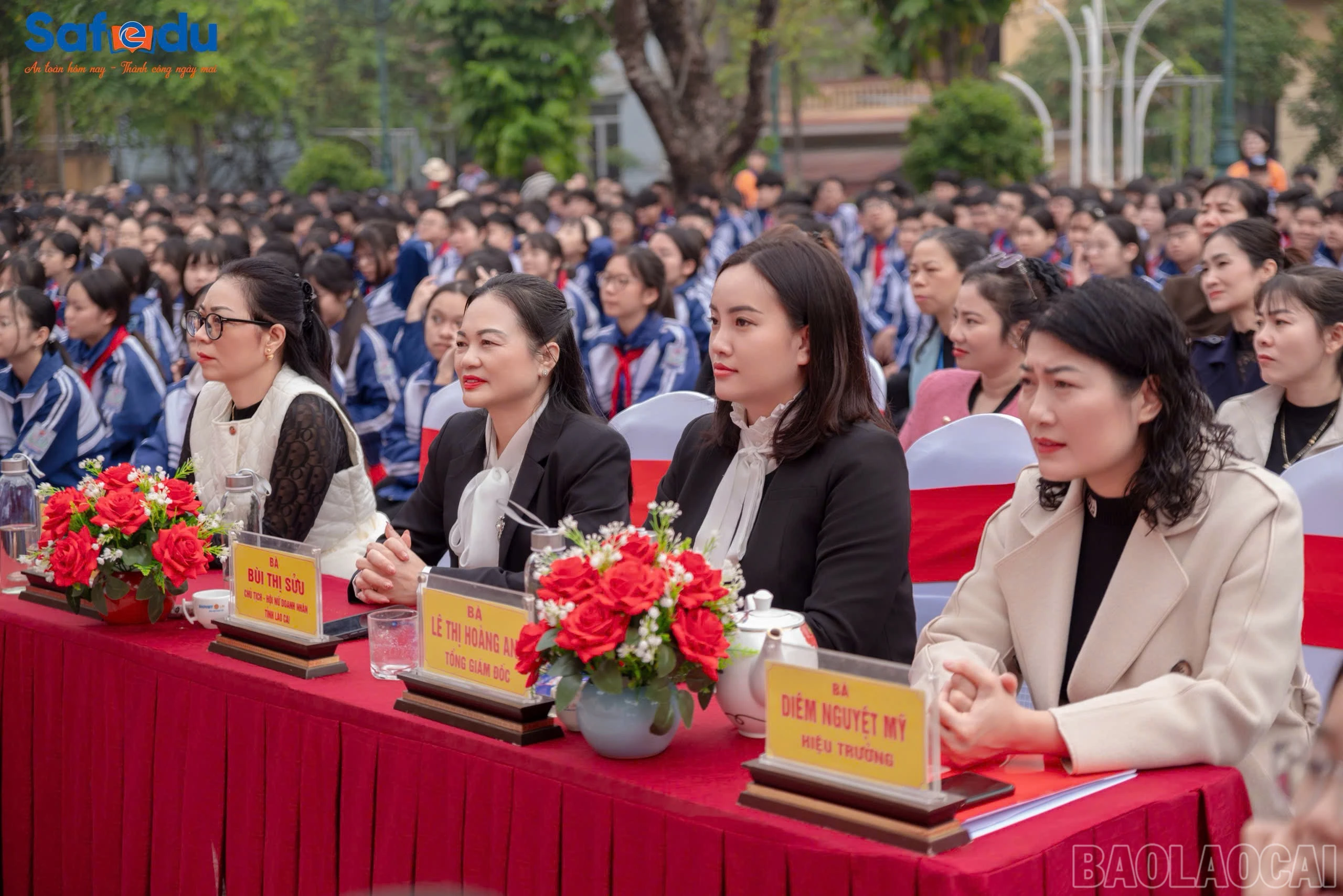 baolaocai-br_3466790288465442045.jpg