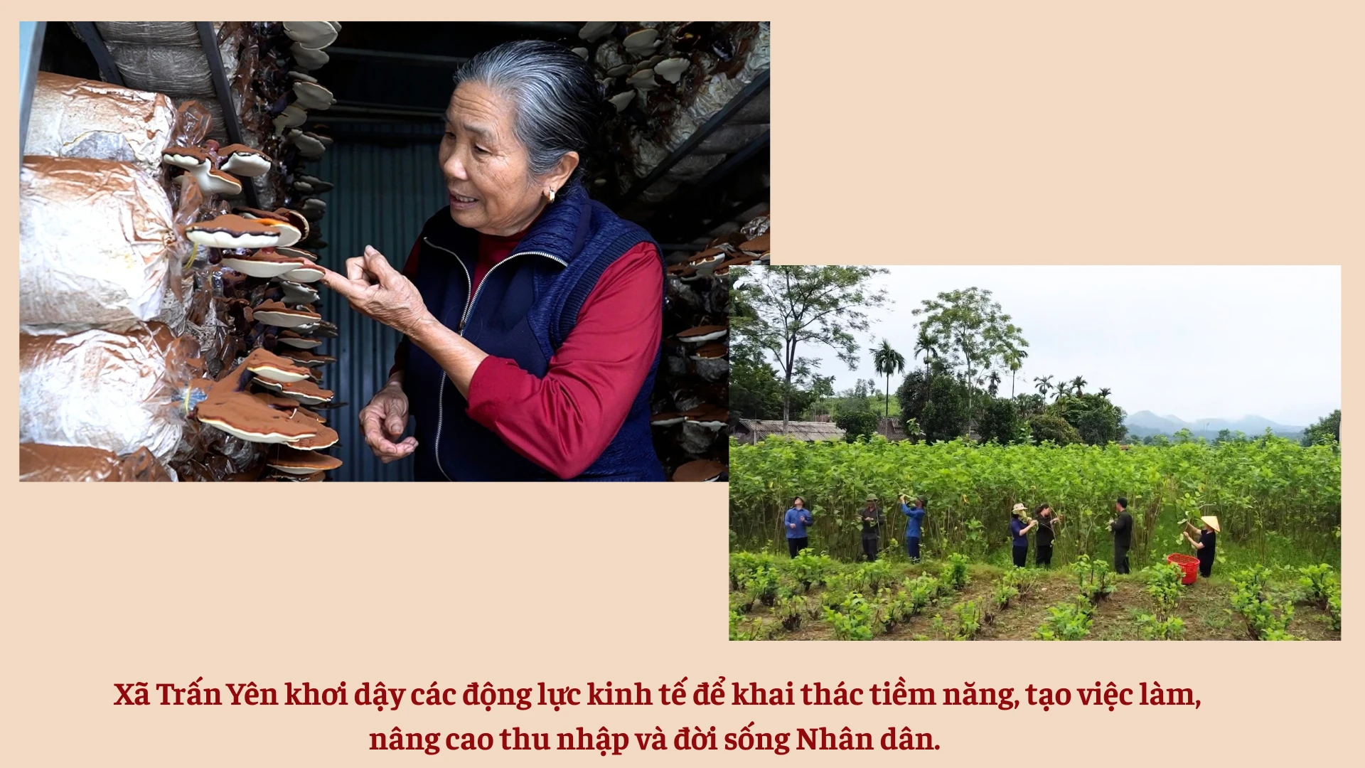 do-do-minh-hoa-tinh-te-ban-hieu-toi-ro-den-muc-nao-le-tinh-nhan-ban-thuyet-trinh-tinh-yeu-7609.png