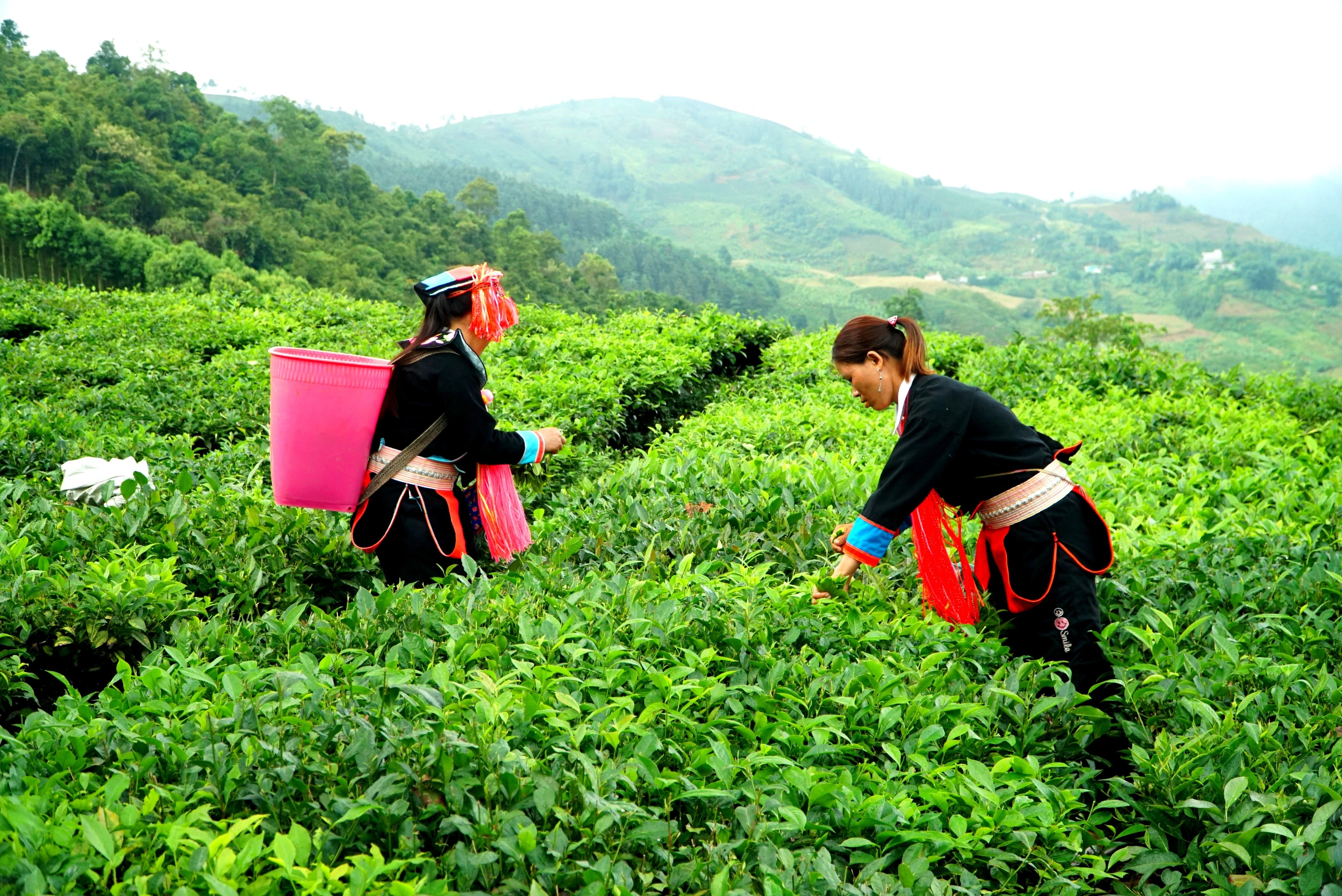 img-20241127-082527.jpg