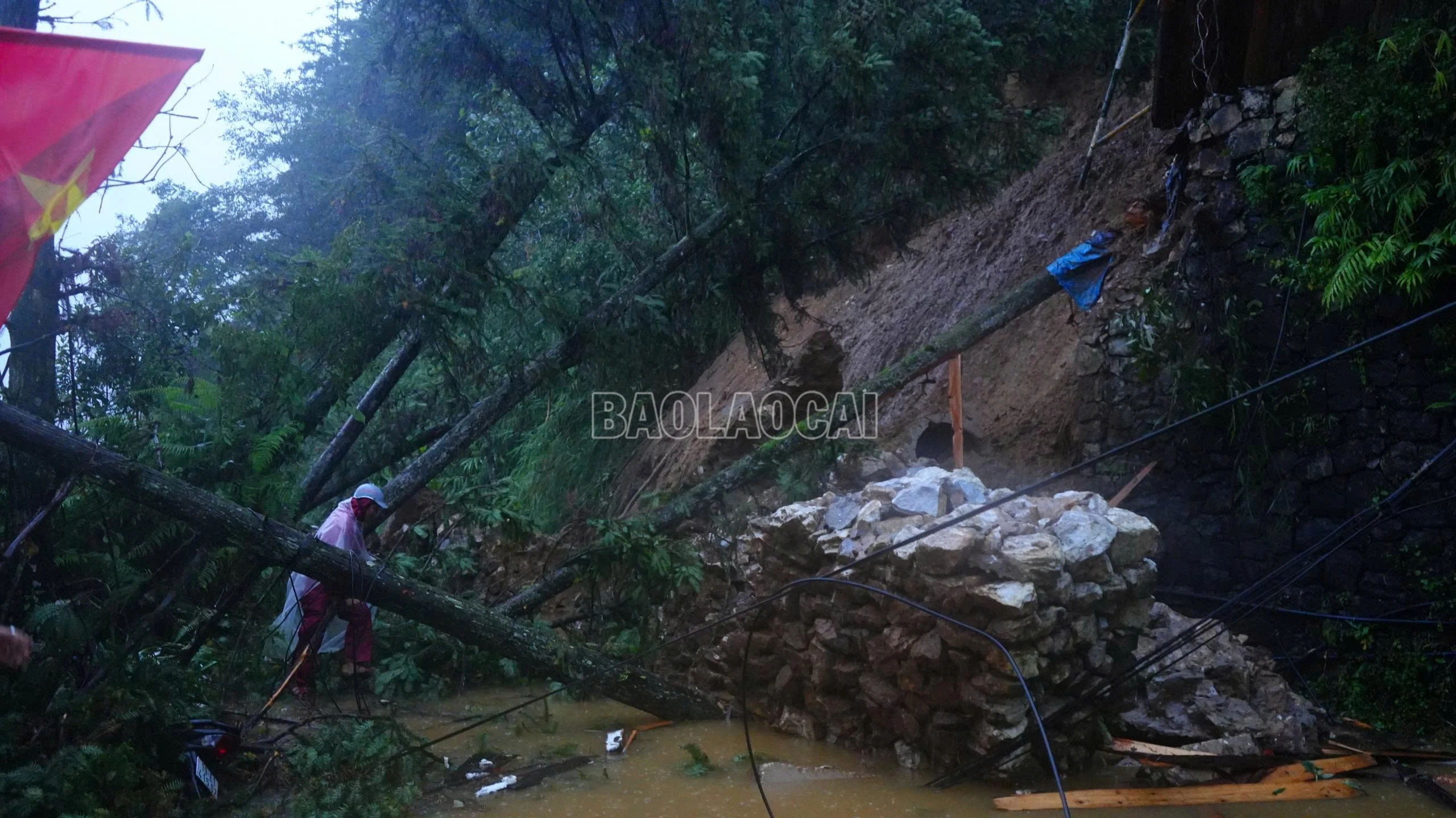 Trên địa bàn phường Sa Pa có nhiều điểm sạt lở.