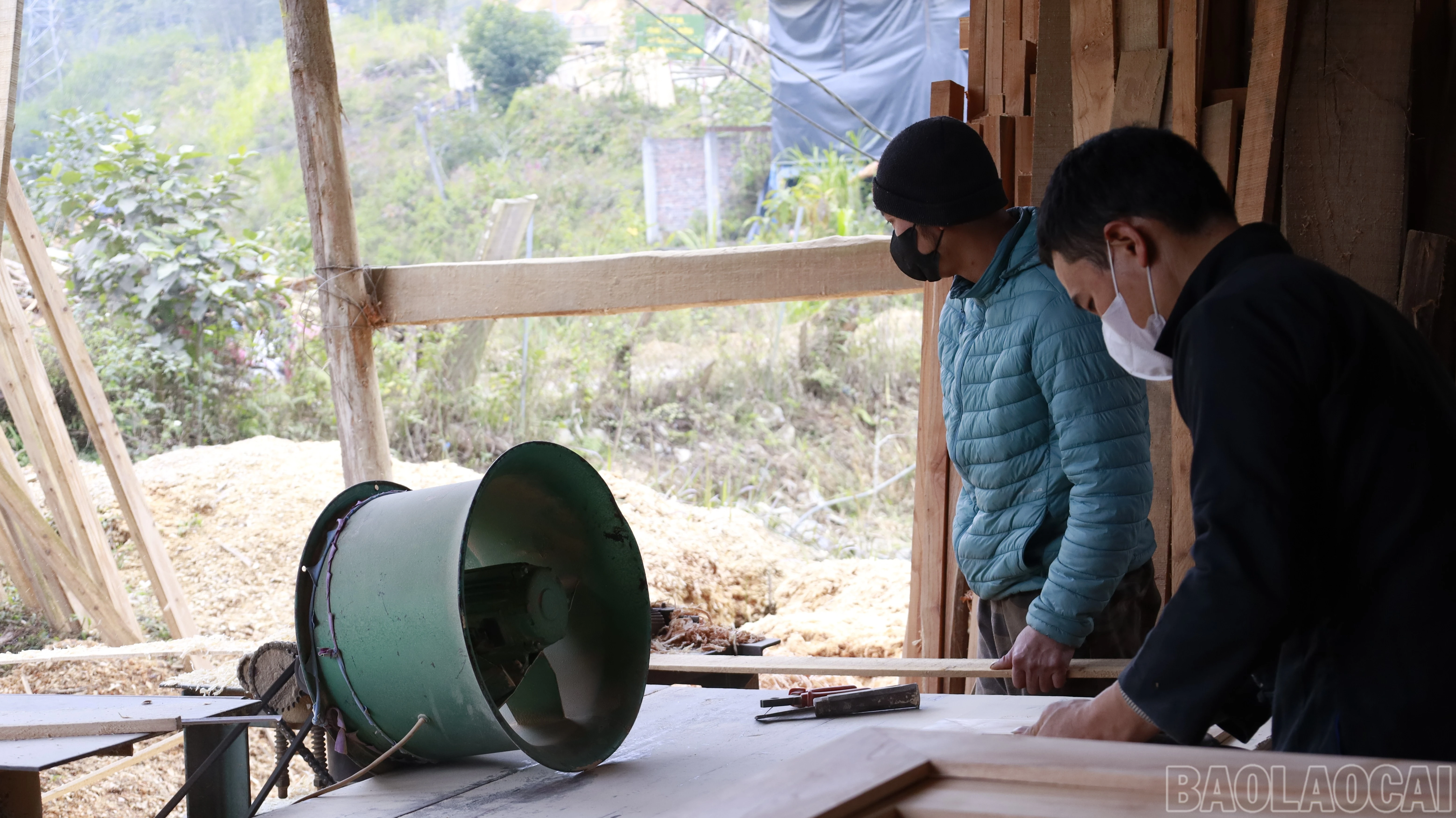 baolaocai-br_mg-0754.jpg
