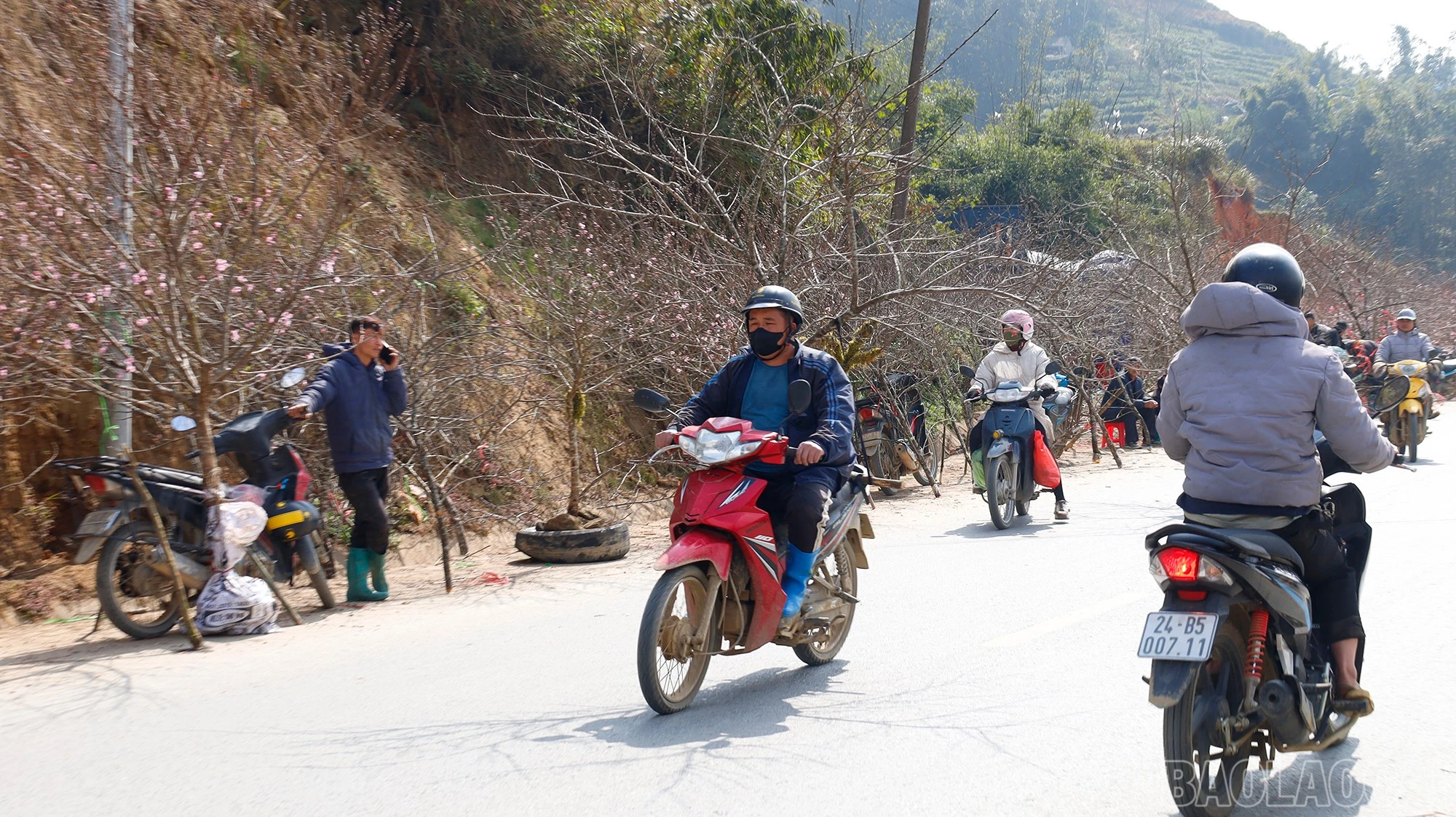baolaocai-br_mg-9434.jpg