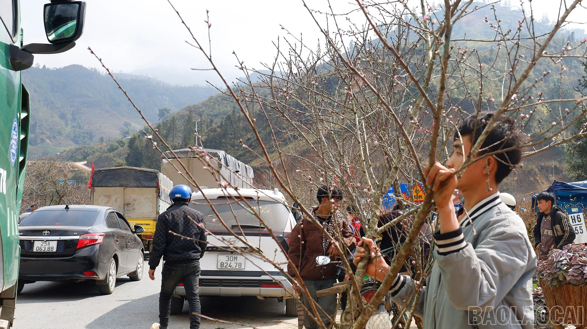 baolaocai-br_mg-9380.jpg