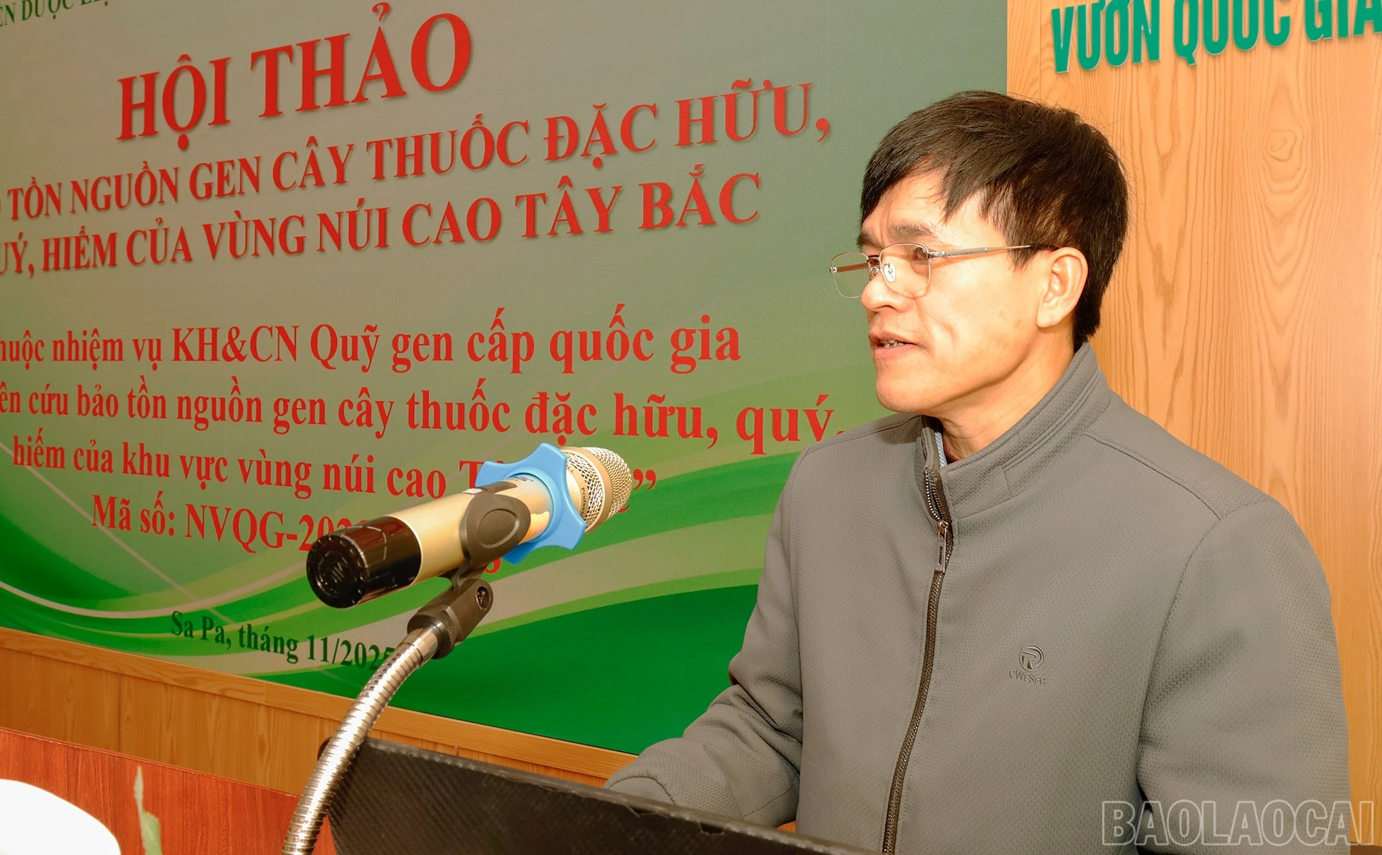 baolaocai-br_mg-9215.jpg